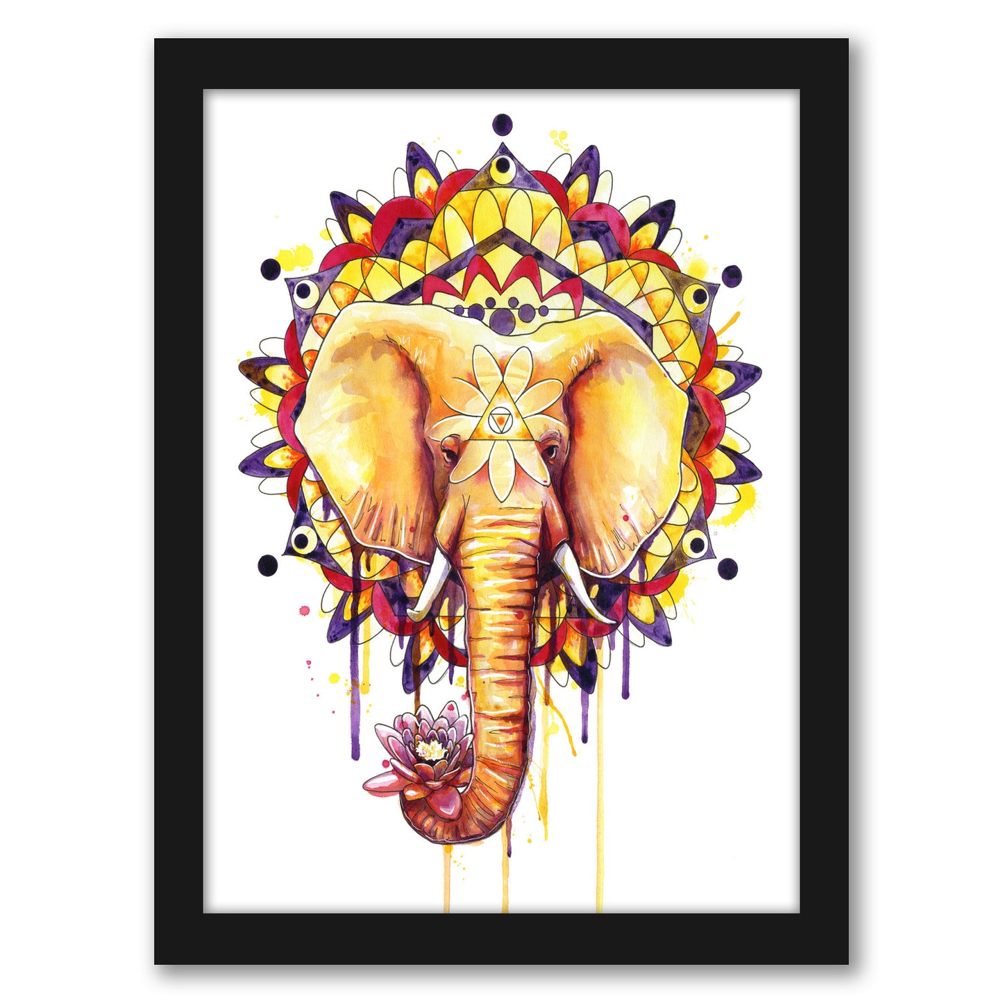 Elephant Mandala by Sam Nagel - Framed Print