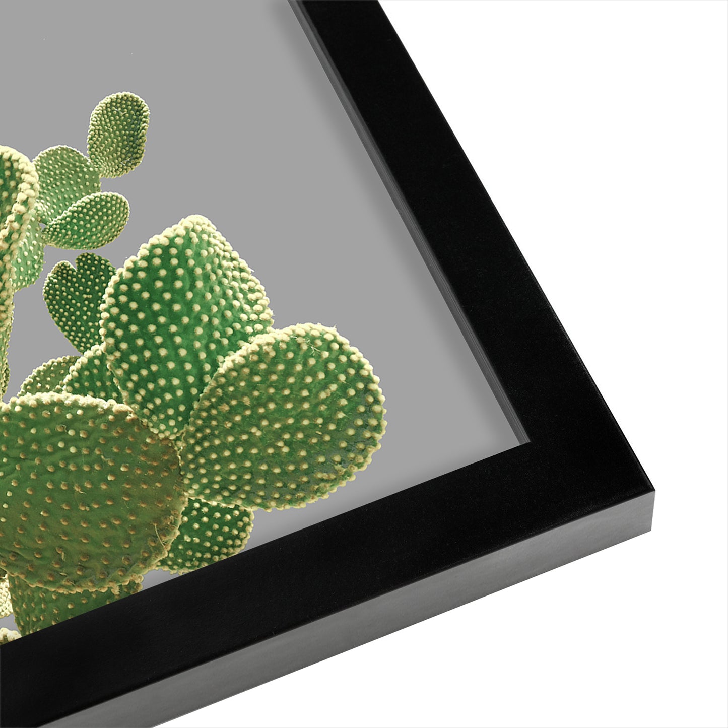 Minimal Cactus by Emanuela Carratoni - Framed Print