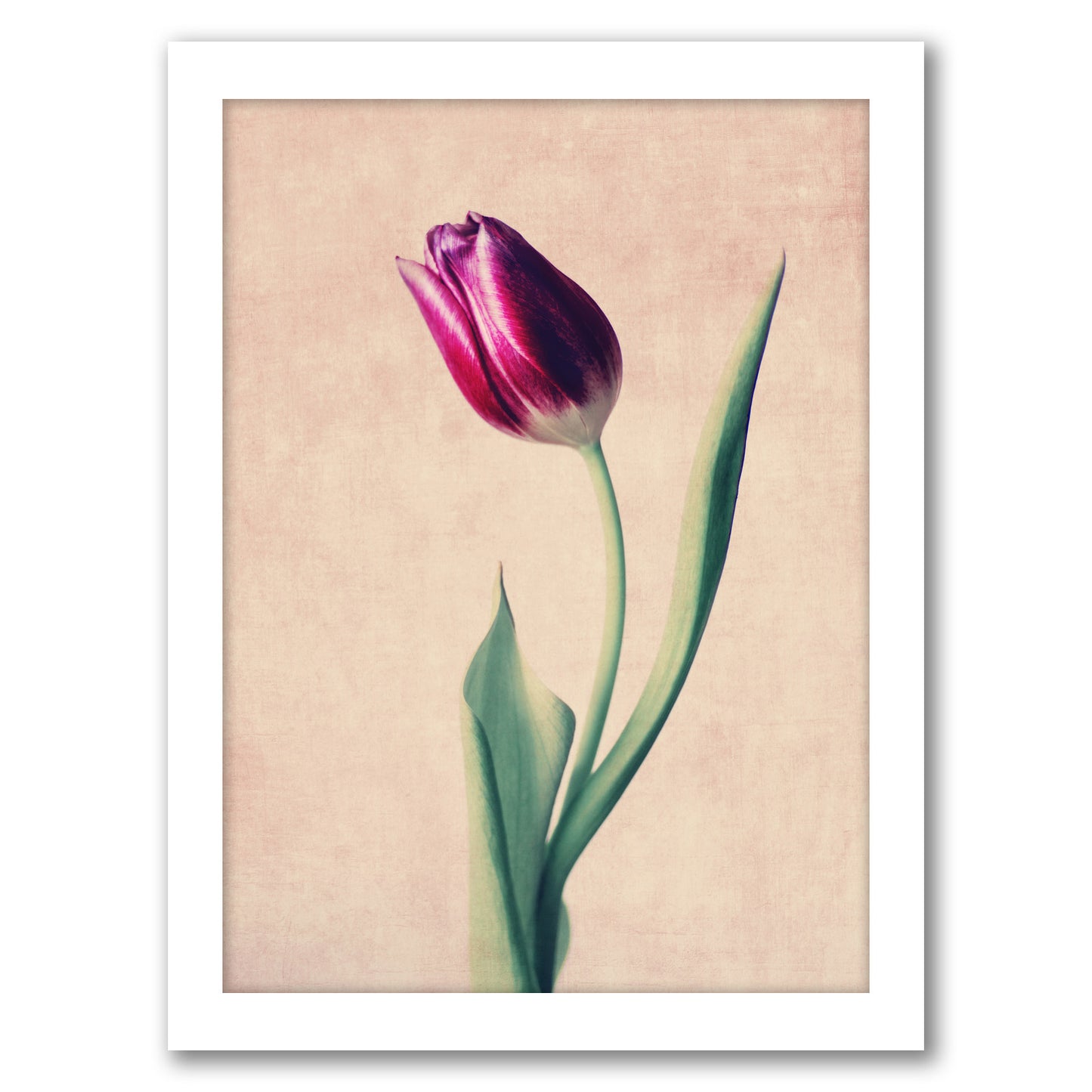 Grace by Ingrid Beddoes - Framed Print