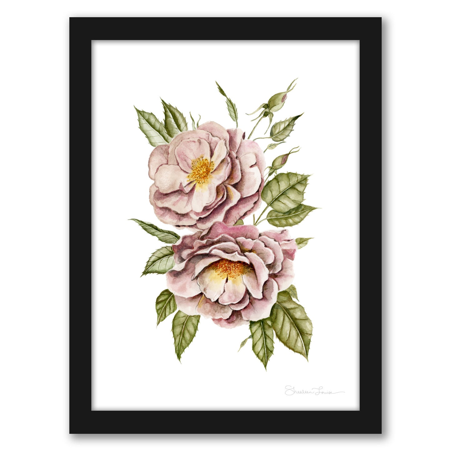 Matangi Roses by Shealeen Louise - Framed Print