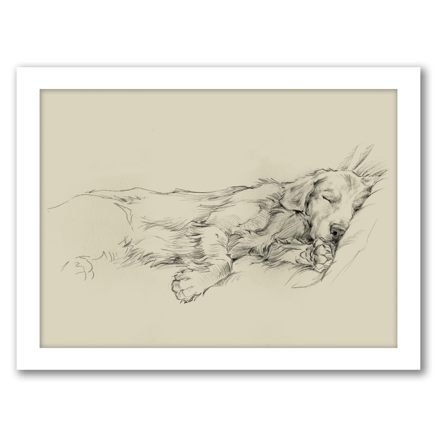 Dog Days III by Ethan Harper by World Art Group - White Framed Print