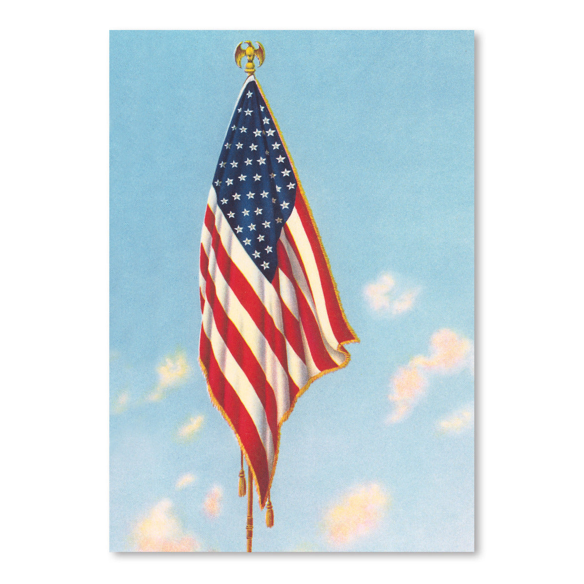 Printed US Flag