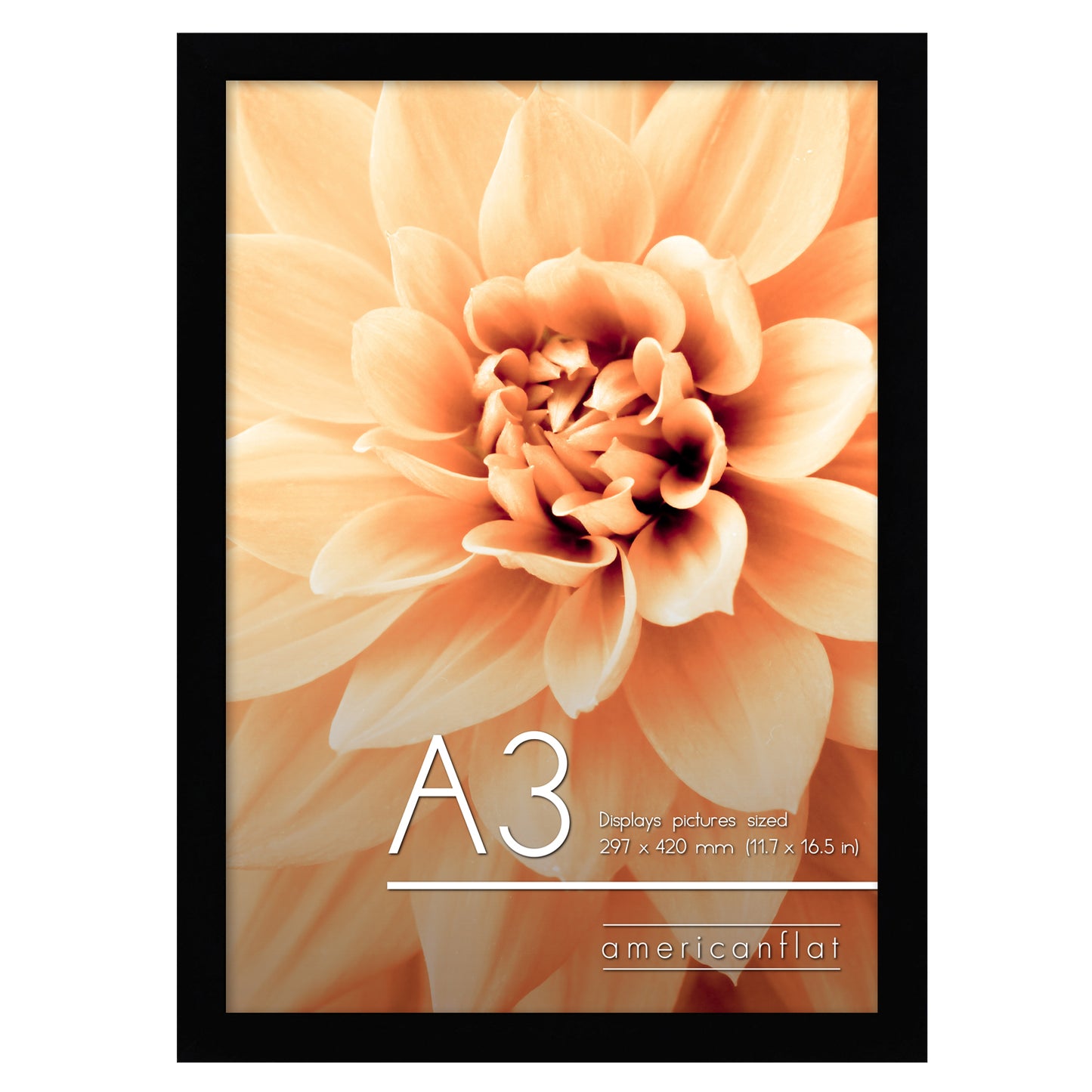 A-Sized Picture Frame (A2, A3, A4, A5) | A Frames Collection