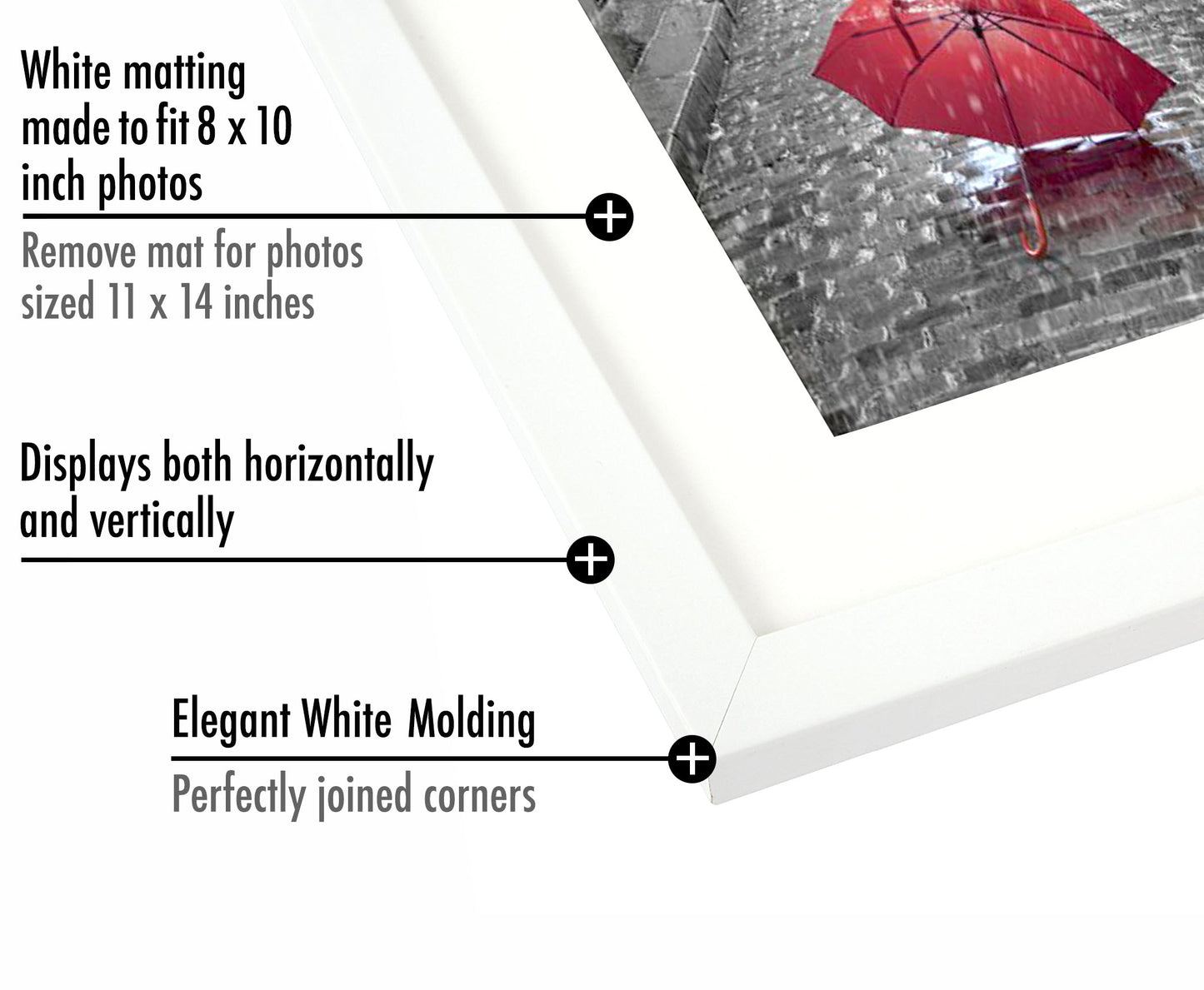 Gallery Picture Frame with Mat | Signature Collection