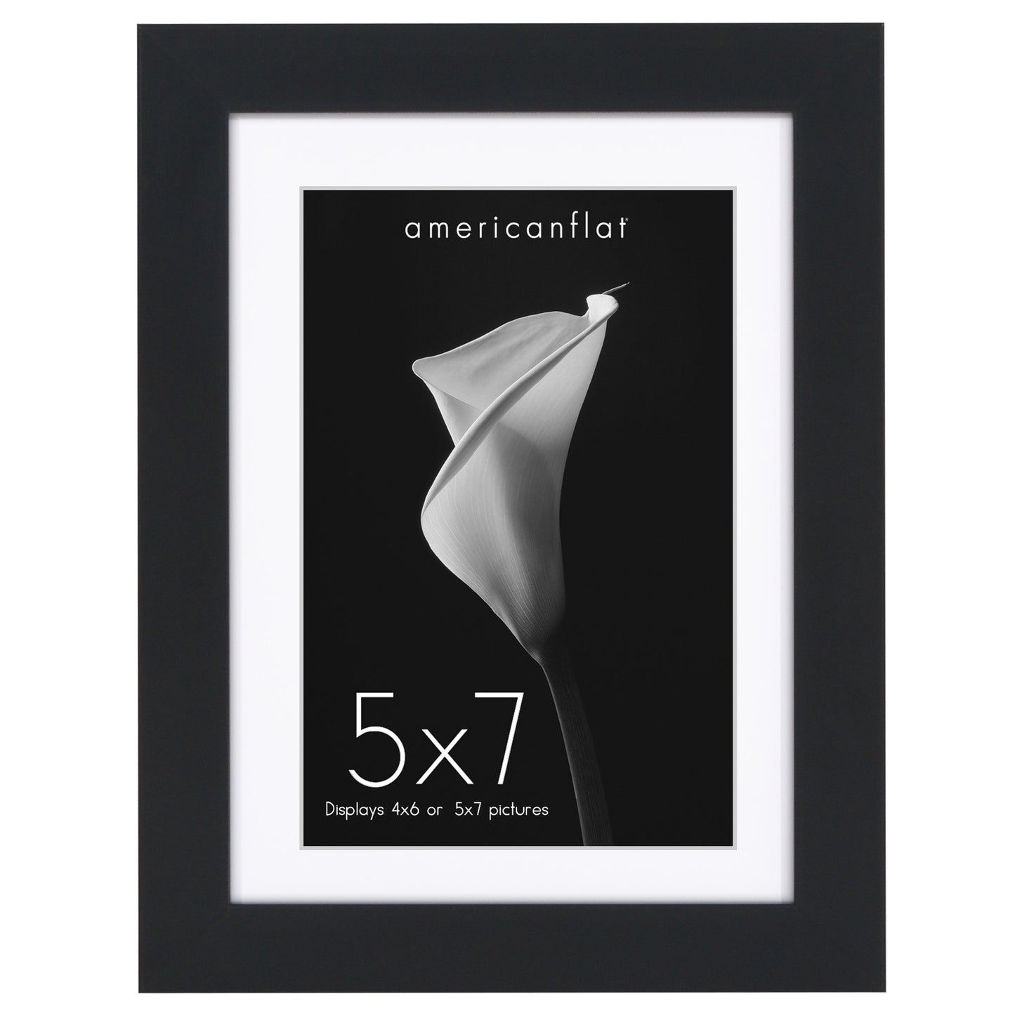 Gallery Picture Frame with Mat | Soho Collection