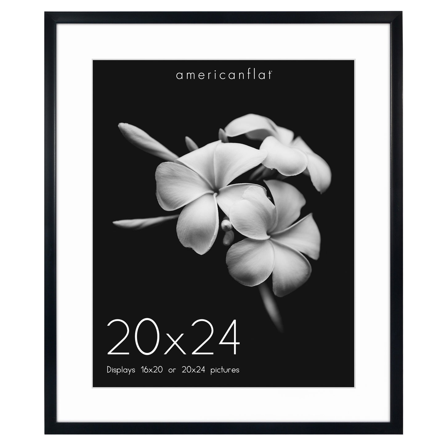 Gallery Picture Frame with Mat | Soho Collection