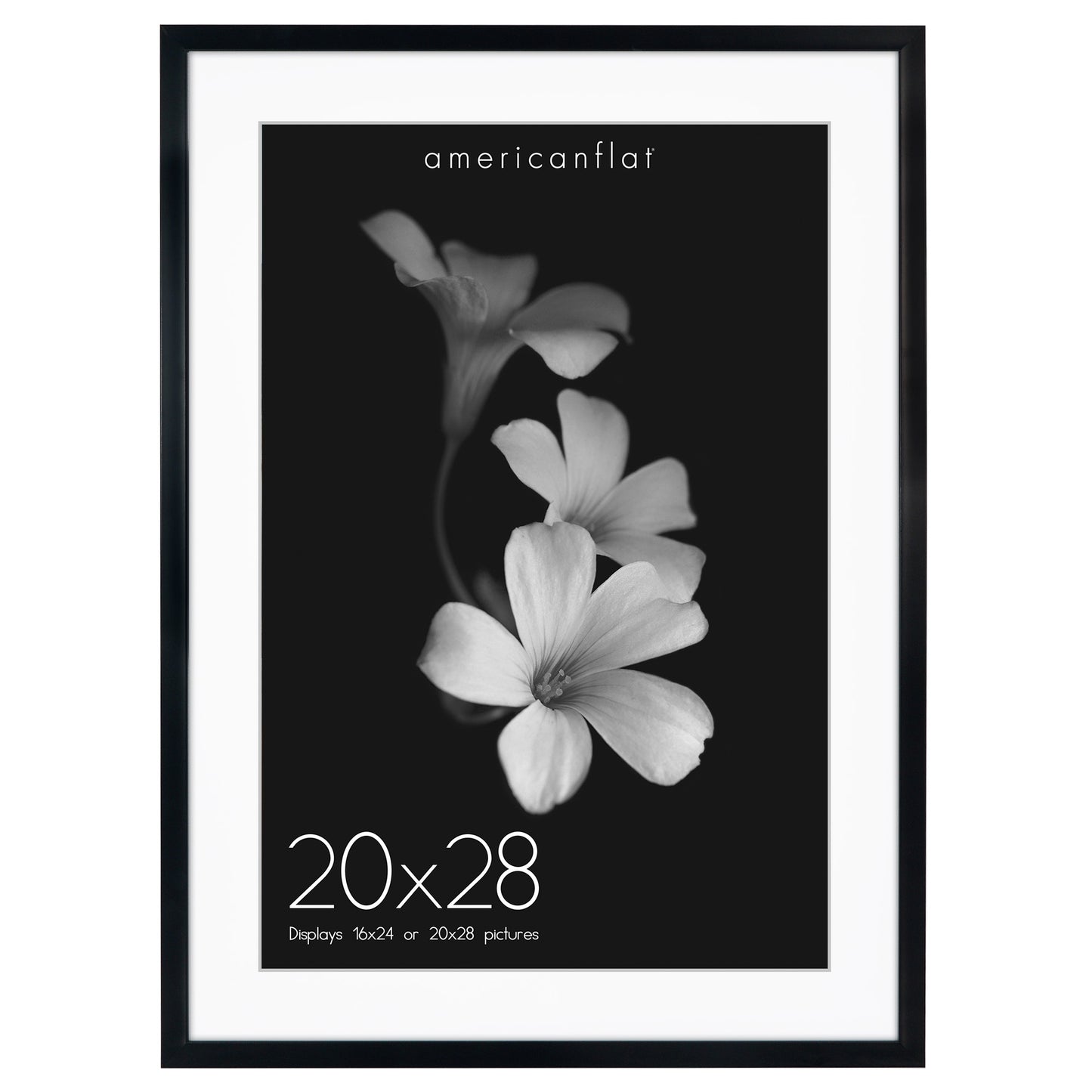 Gallery Picture Frame with Mat | Soho Collection