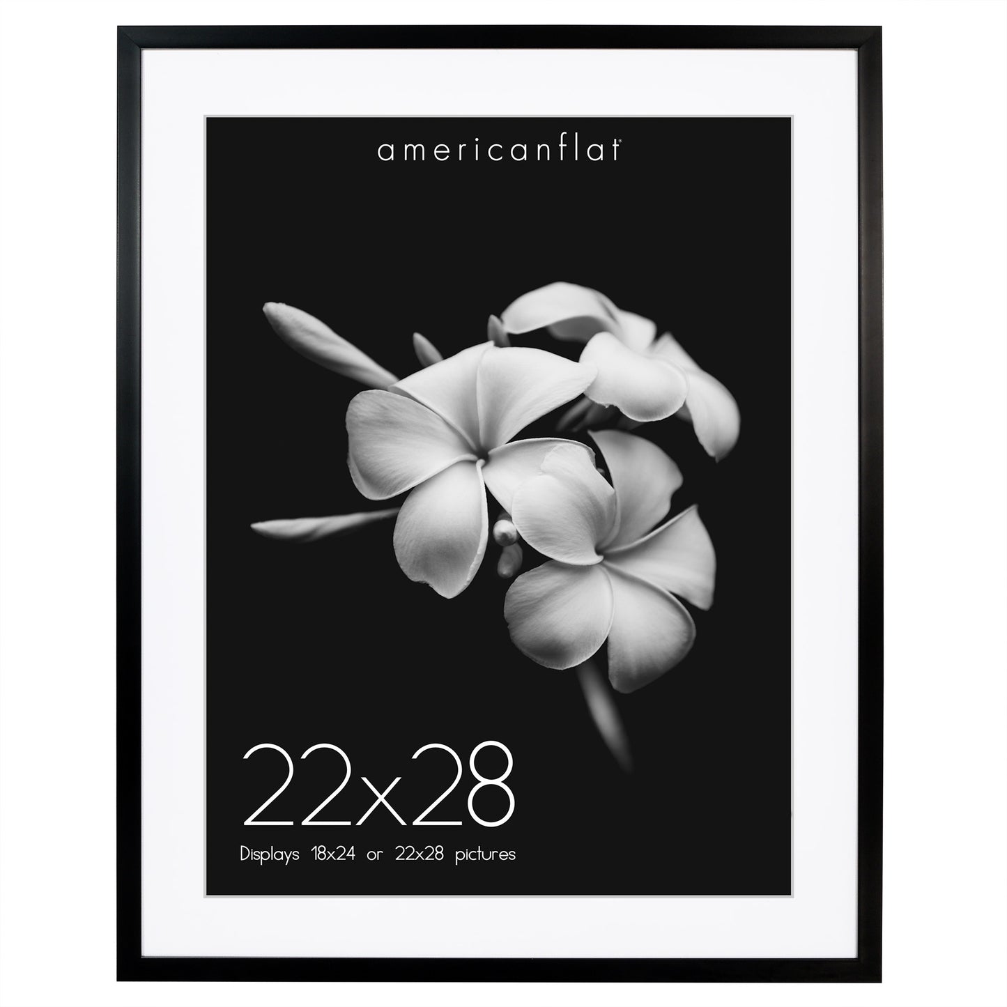 Gallery Picture Frame with Mat | Soho Collection
