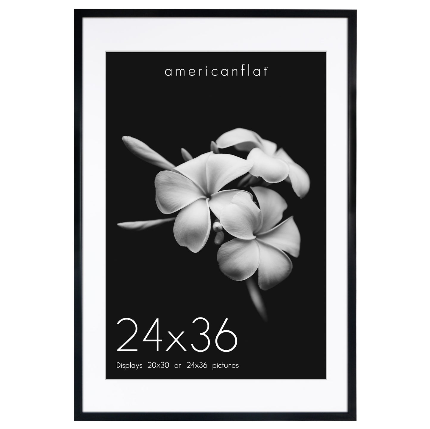 Gallery Picture Frame with Mat | Soho Collection