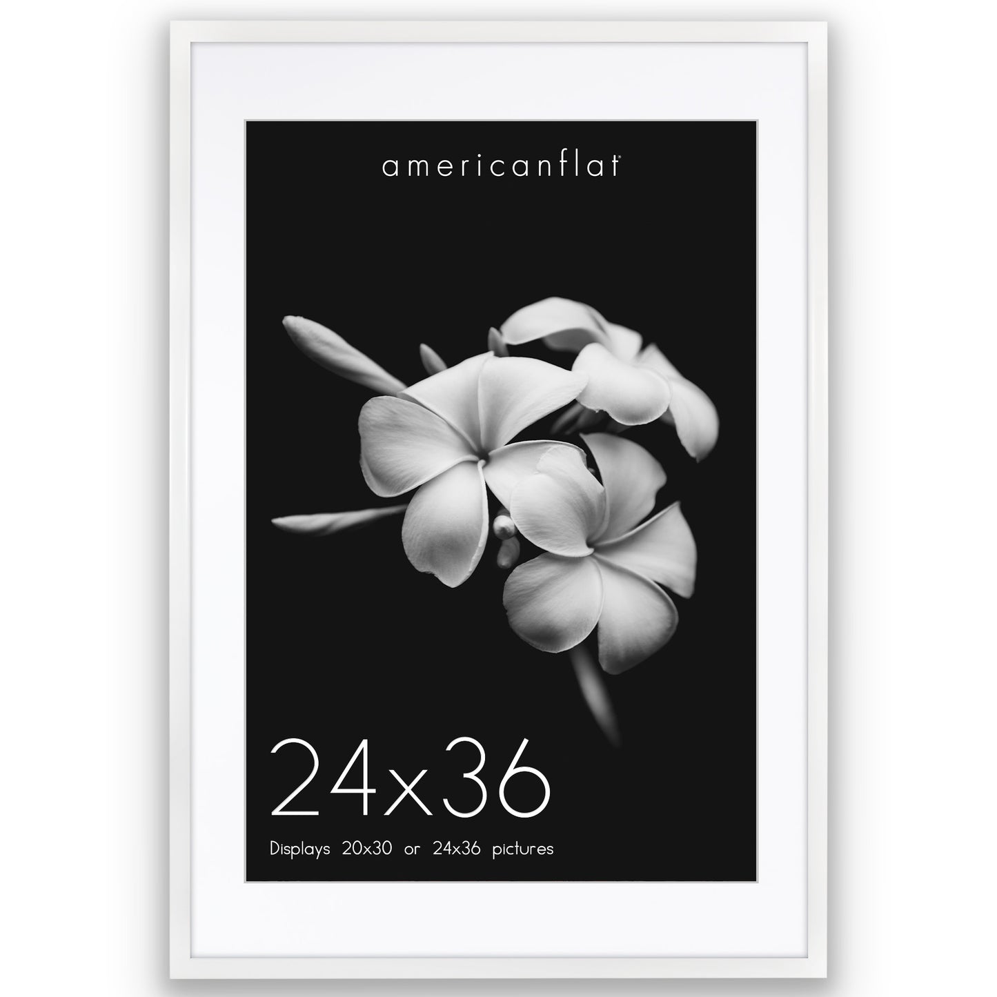 Gallery Picture Frame with Mat | Soho Collection