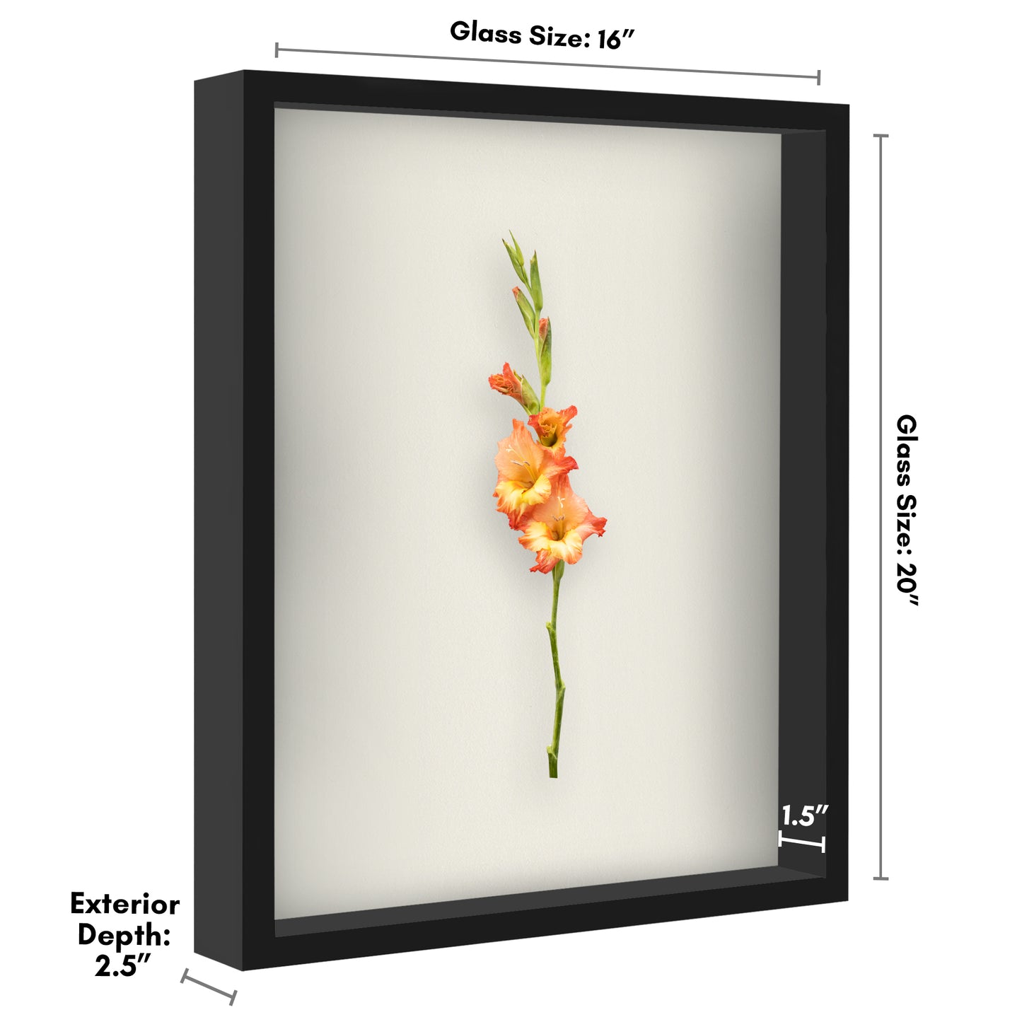 Shadow Box Keepsake Frame with Linen Back | Silhouette Collection