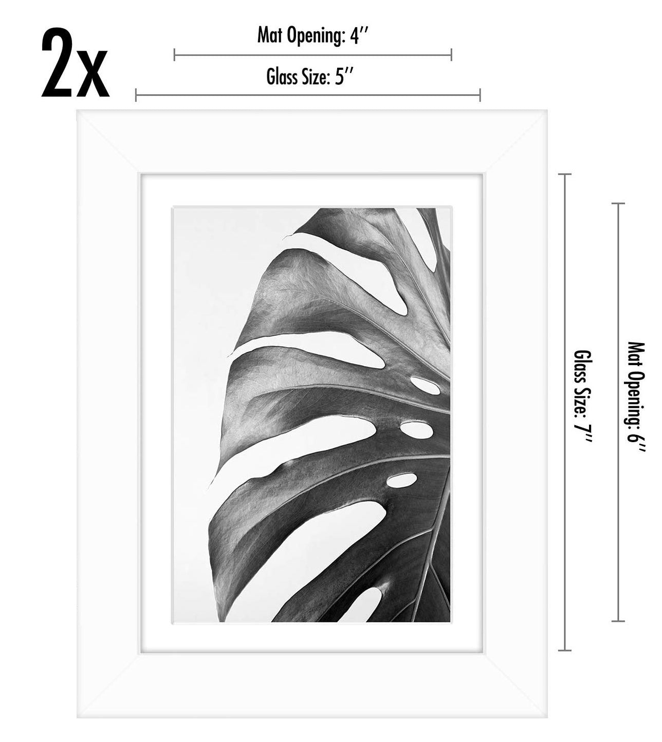 Set of 2 - Gallery Picture Frame with Mat | Signature Collection