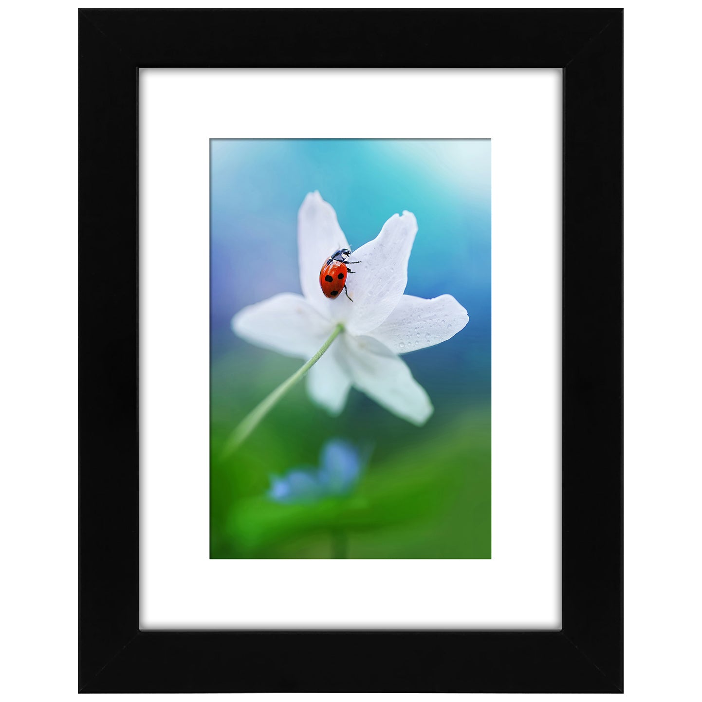 Set of 2 - Gallery Picture Frame with Mat | Signature Collection