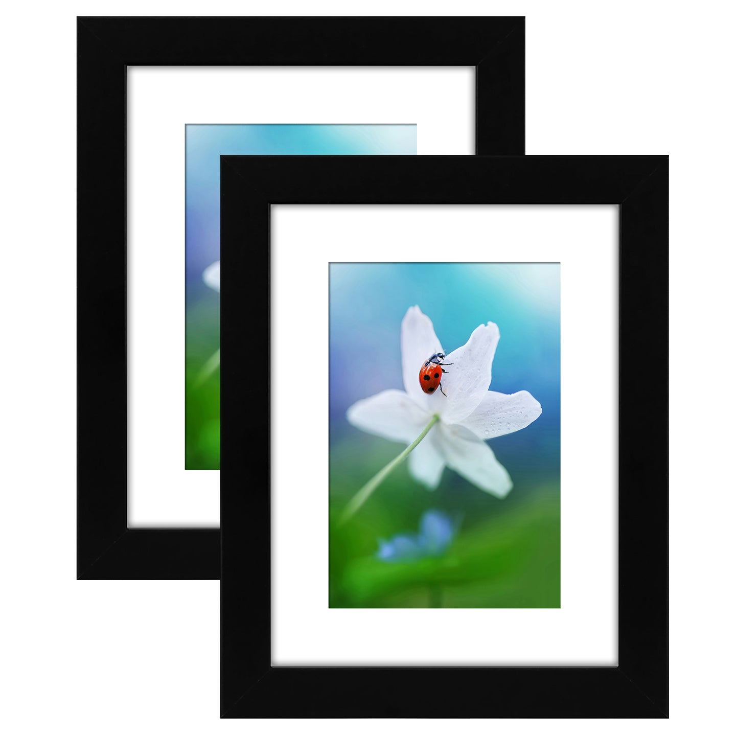 Set of 2 - Gallery Picture Frame with Mat | Signature Collection