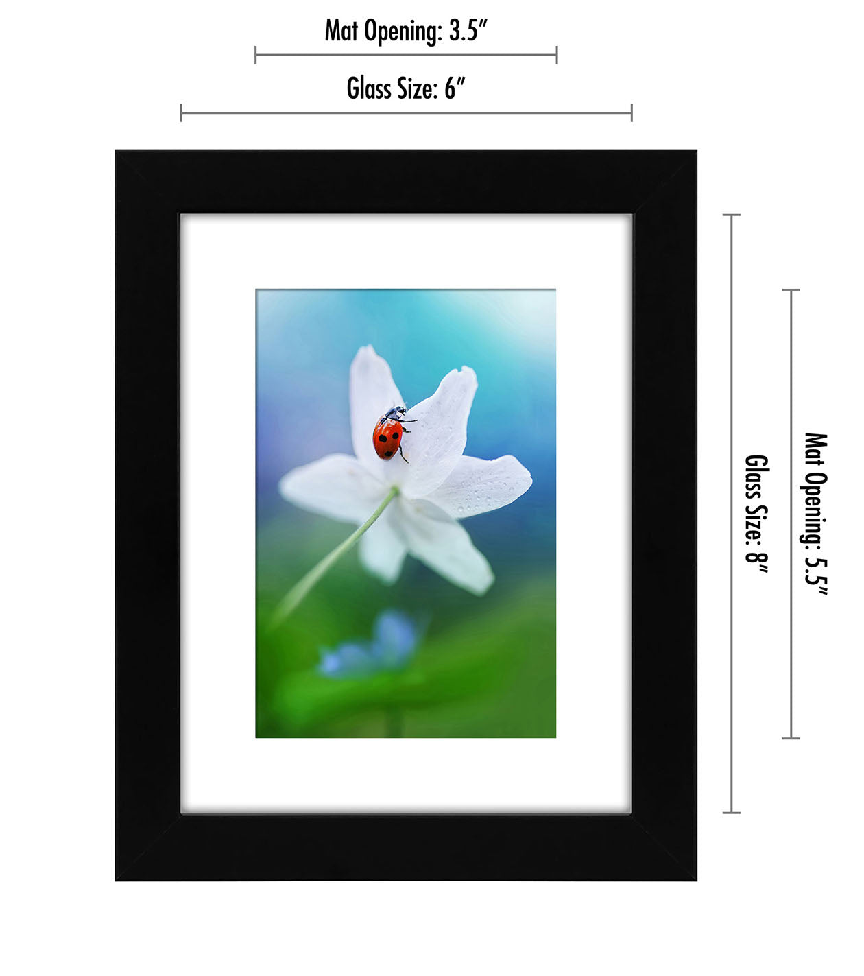Set of 2 - Gallery Picture Frame with Mat | Signature Collection