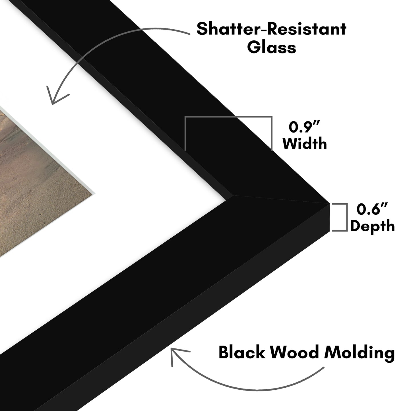 Gallery Picture Frame with Arched Mat | Signature Collection