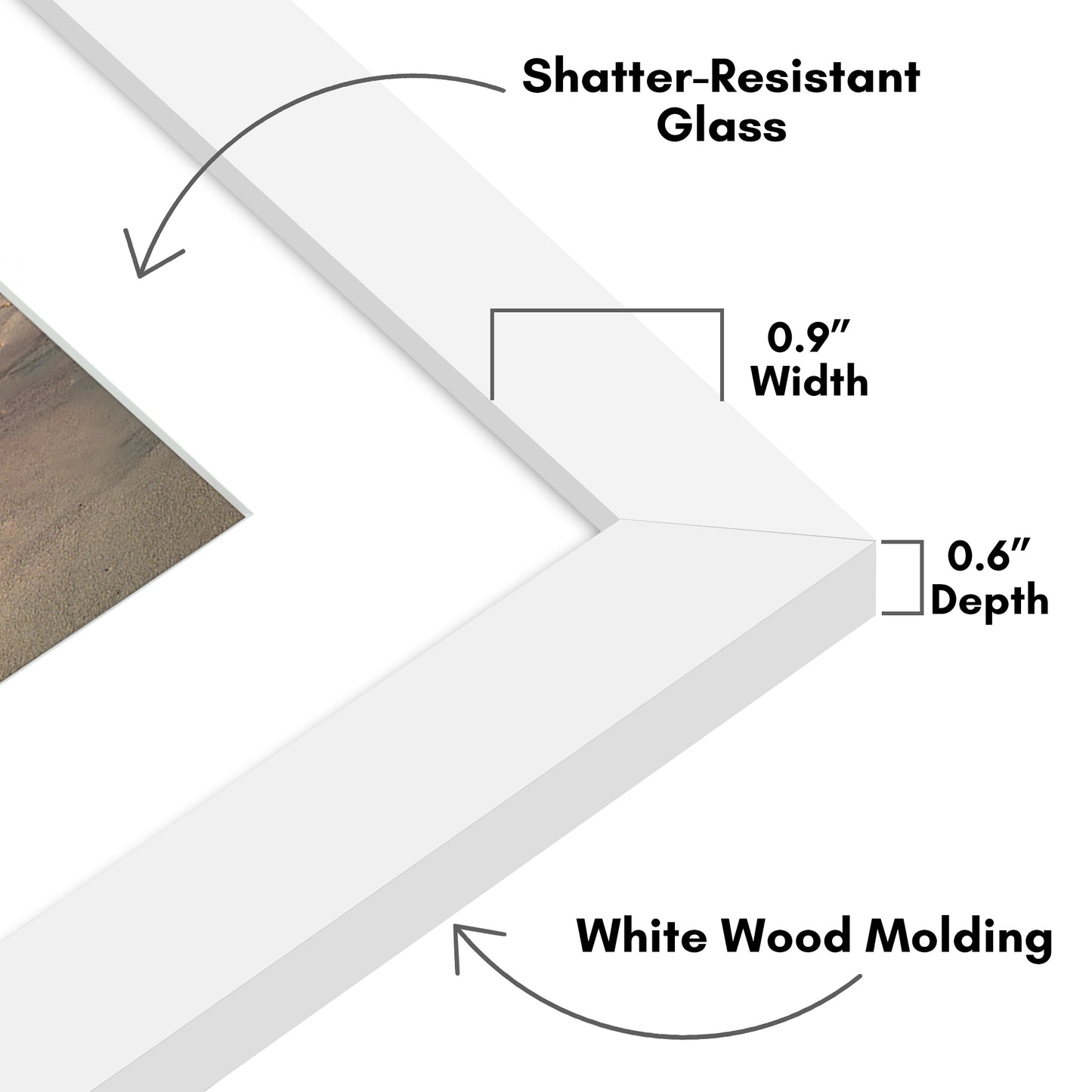 Gallery Picture Frame with Arched Mat | Signature Collection