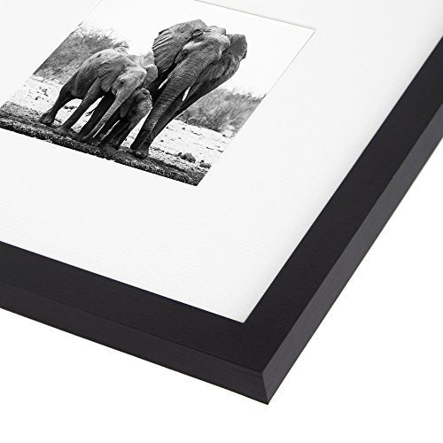 Gallery Picture Frame with Mat | Signature Collection