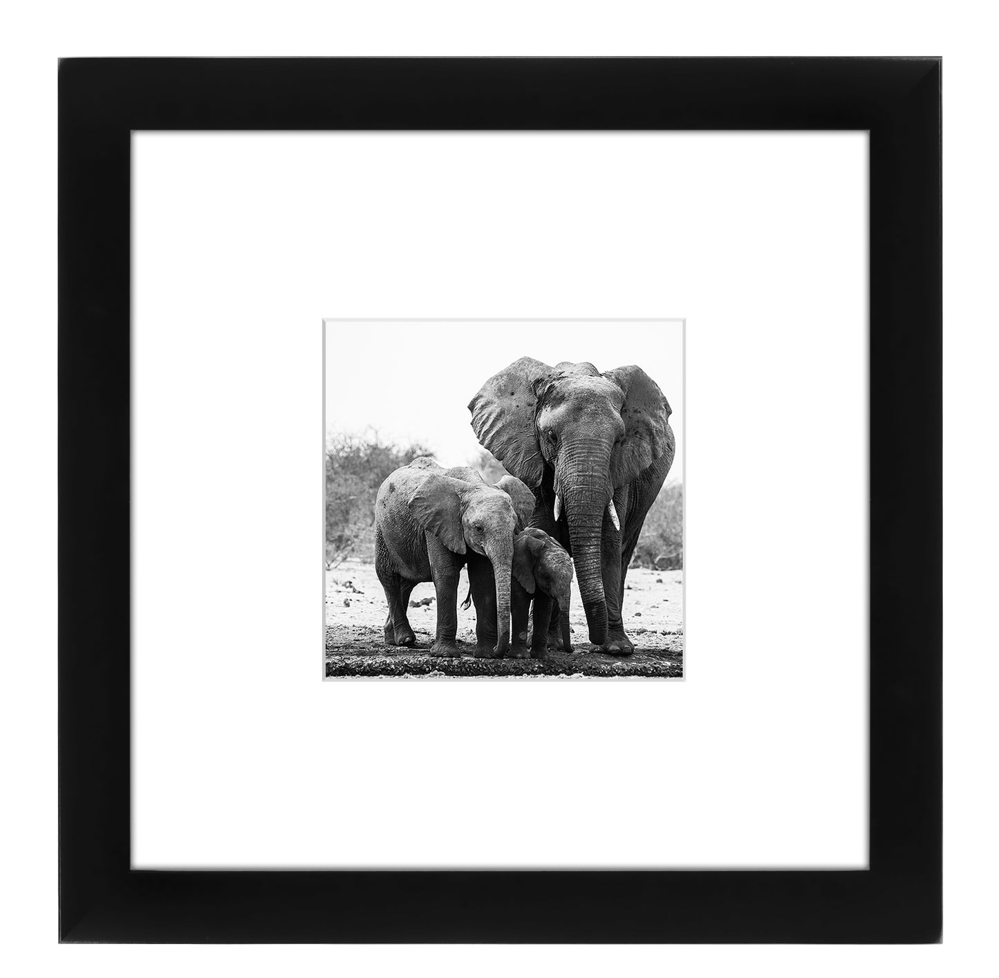 Gallery Picture Frame with Mat | Signature Collection