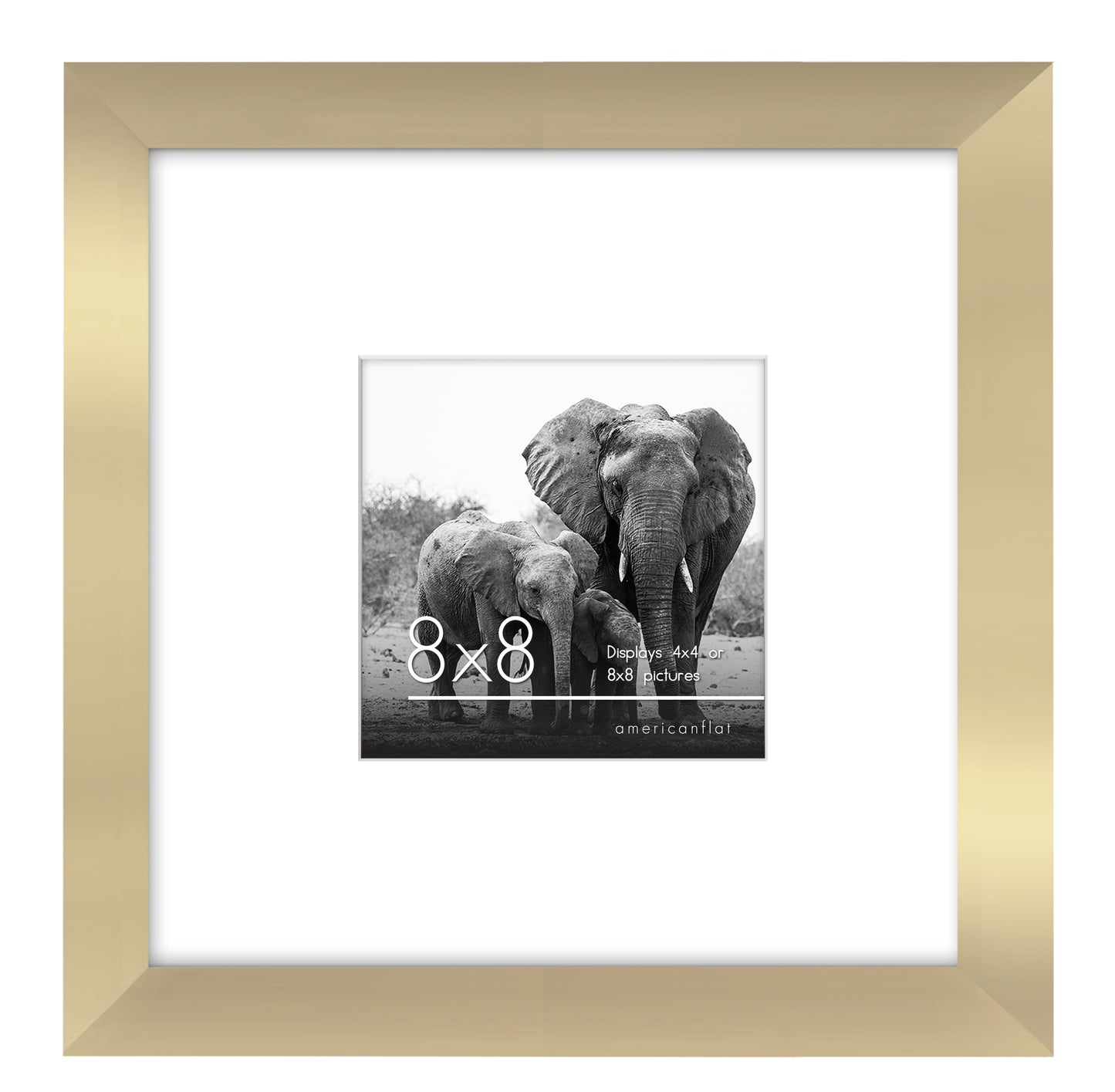 Gallery Picture Frame with Mat | Signature Collection