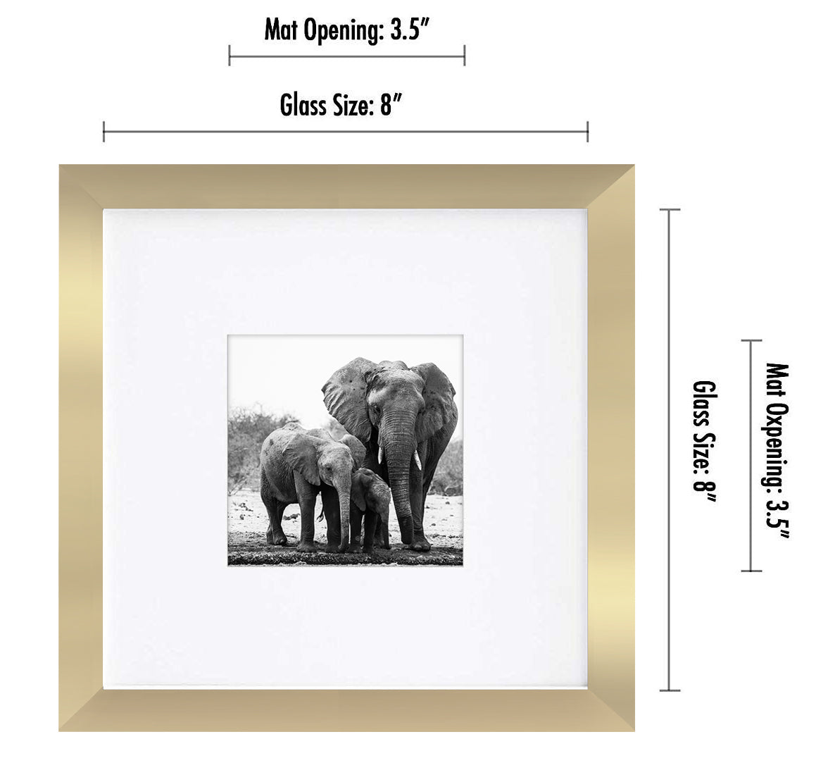 Gallery Picture Frame with Mat | Signature Collection