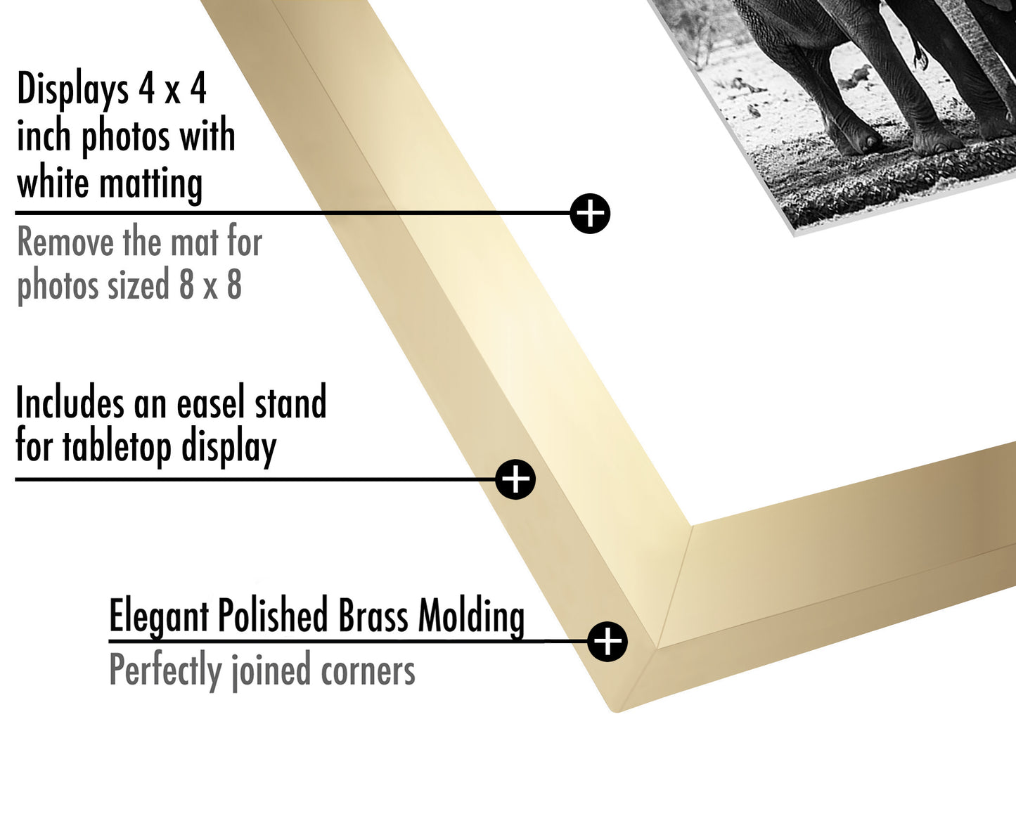 Gallery Picture Frame with Mat | Signature Collection
