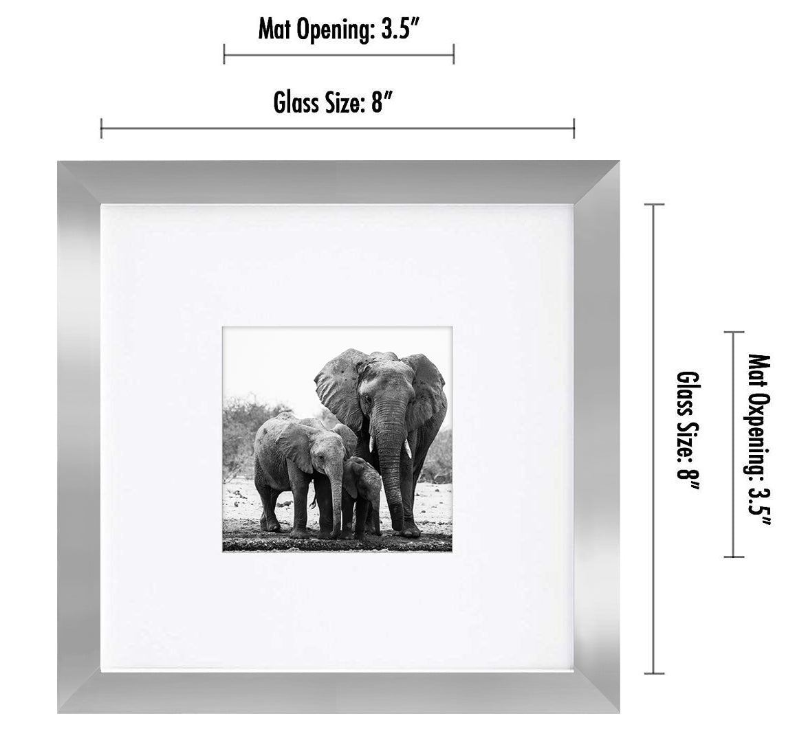 Gallery Picture Frame with Mat | Signature Collection