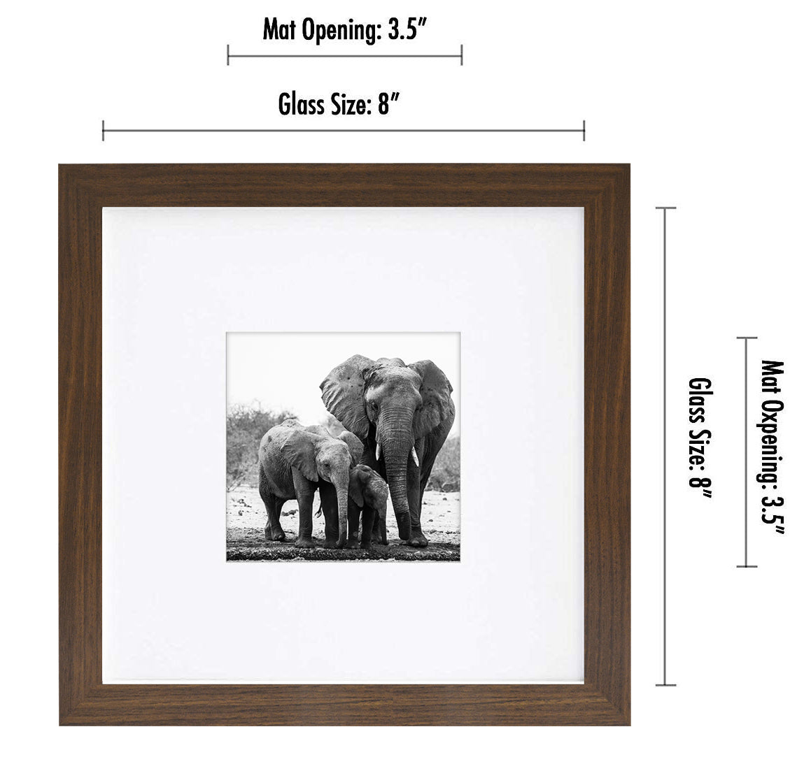Gallery Picture Frame with Mat | Signature Collection