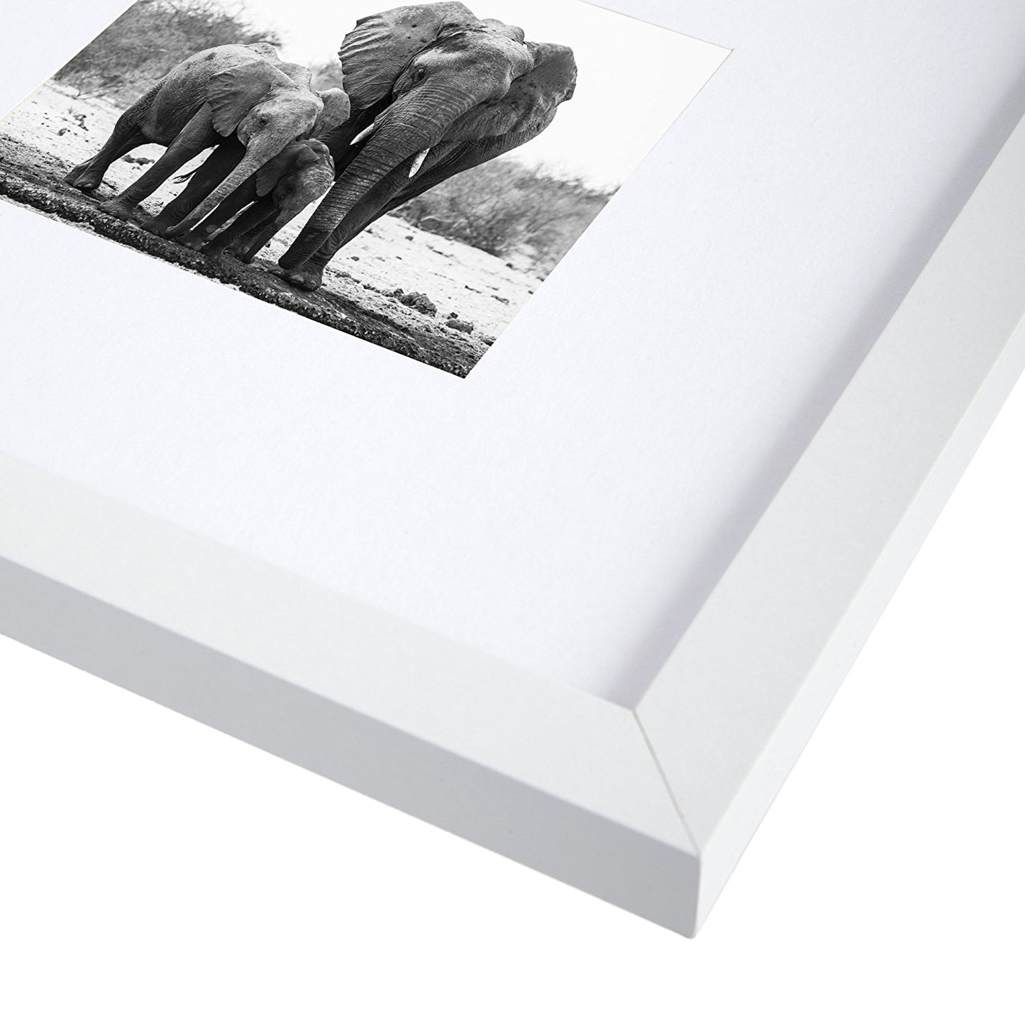 Gallery Picture Frame with Mat | Signature Collection