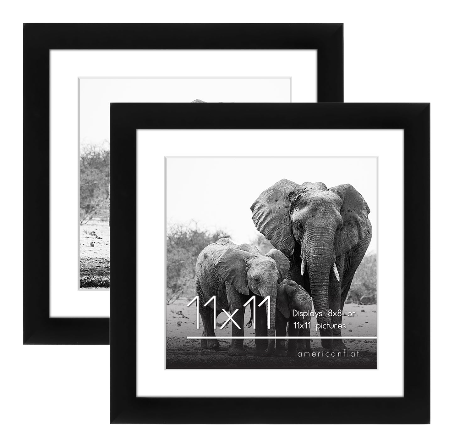 Set of 2 - Gallery Picture Frame with Mat | Signature Collection