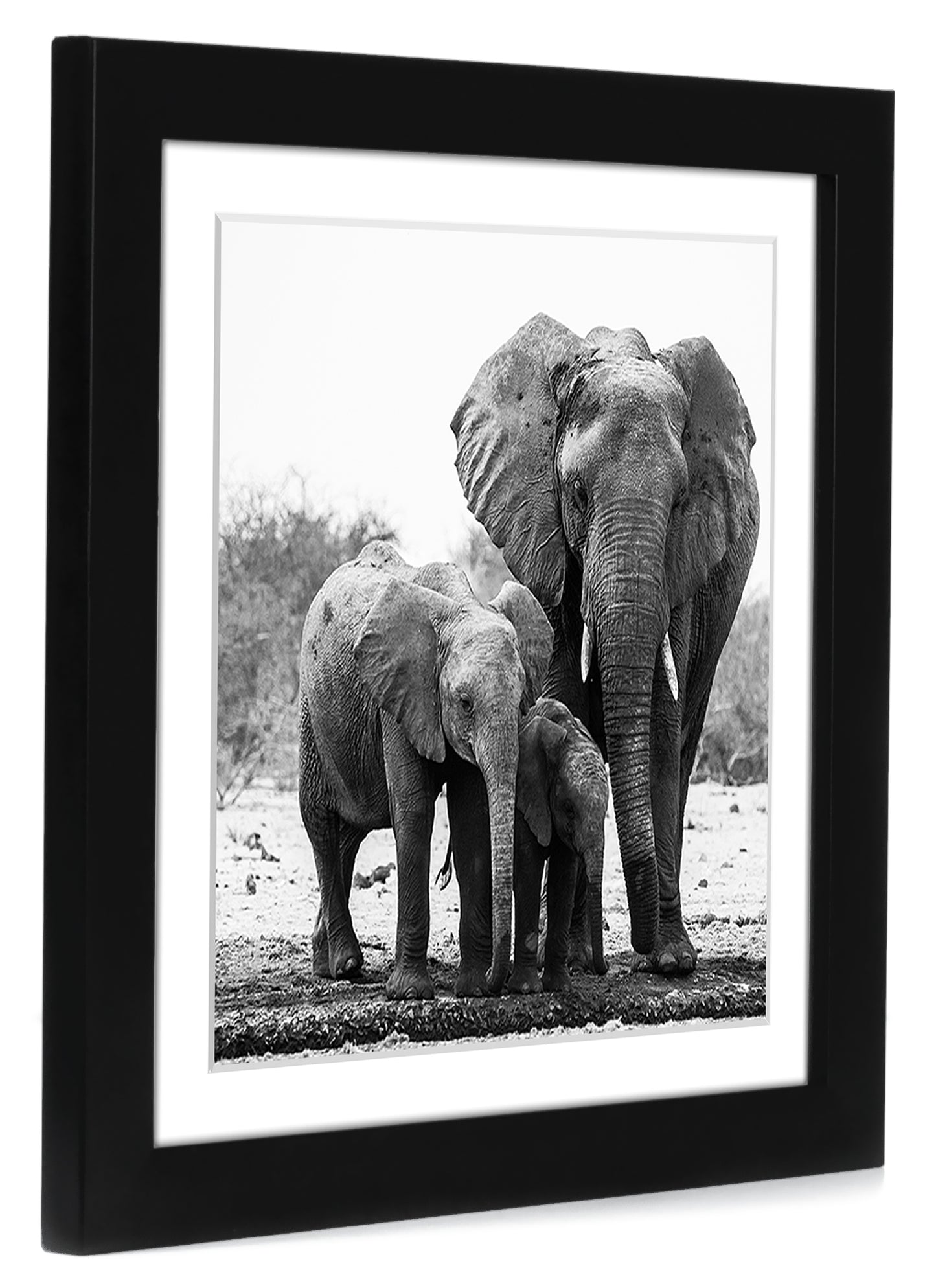 Set of 2 - Picture Frame with Mat - Engineered Wood Photo Frame with Shatter-Resistant Glass