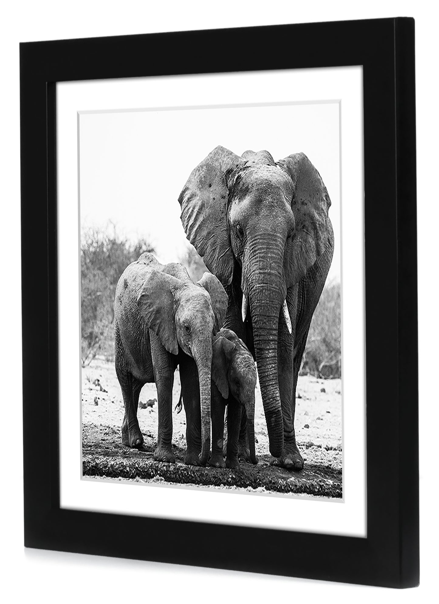 Set of 2 - Picture Frame with Mat - Engineered Wood Photo Frame with Shatter-Resistant Glass