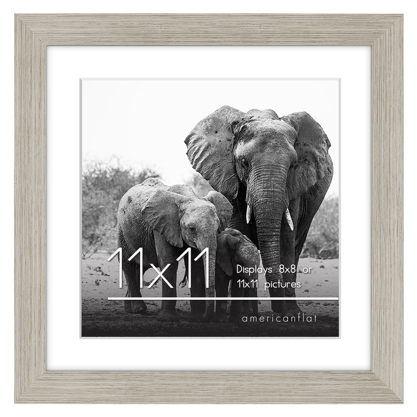 Gallery Picture Frame with Mat | Signature Collection