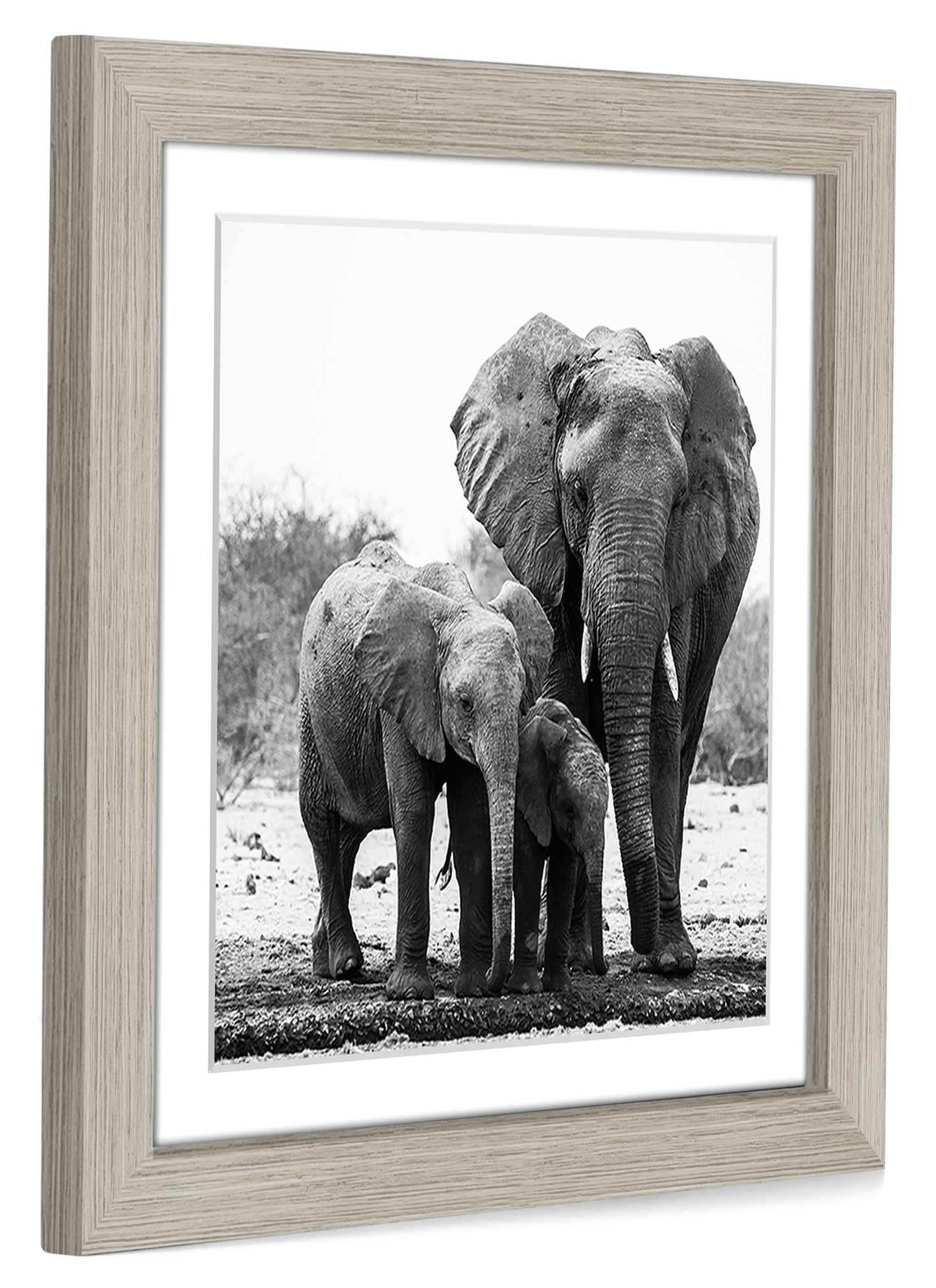 Gallery Picture Frame with Mat | Signature Collection