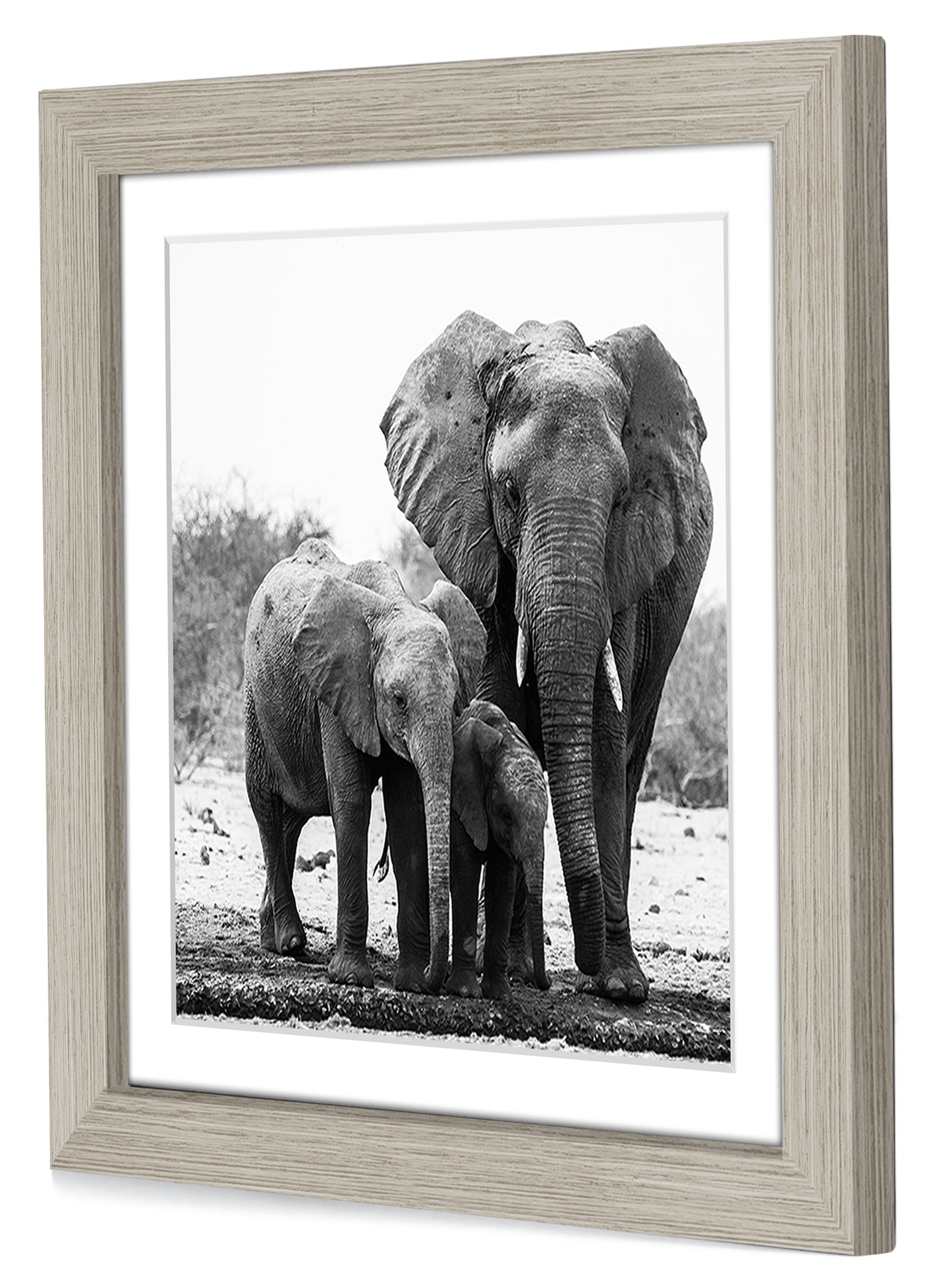 Gallery Picture Frame with Mat | Signature Collection