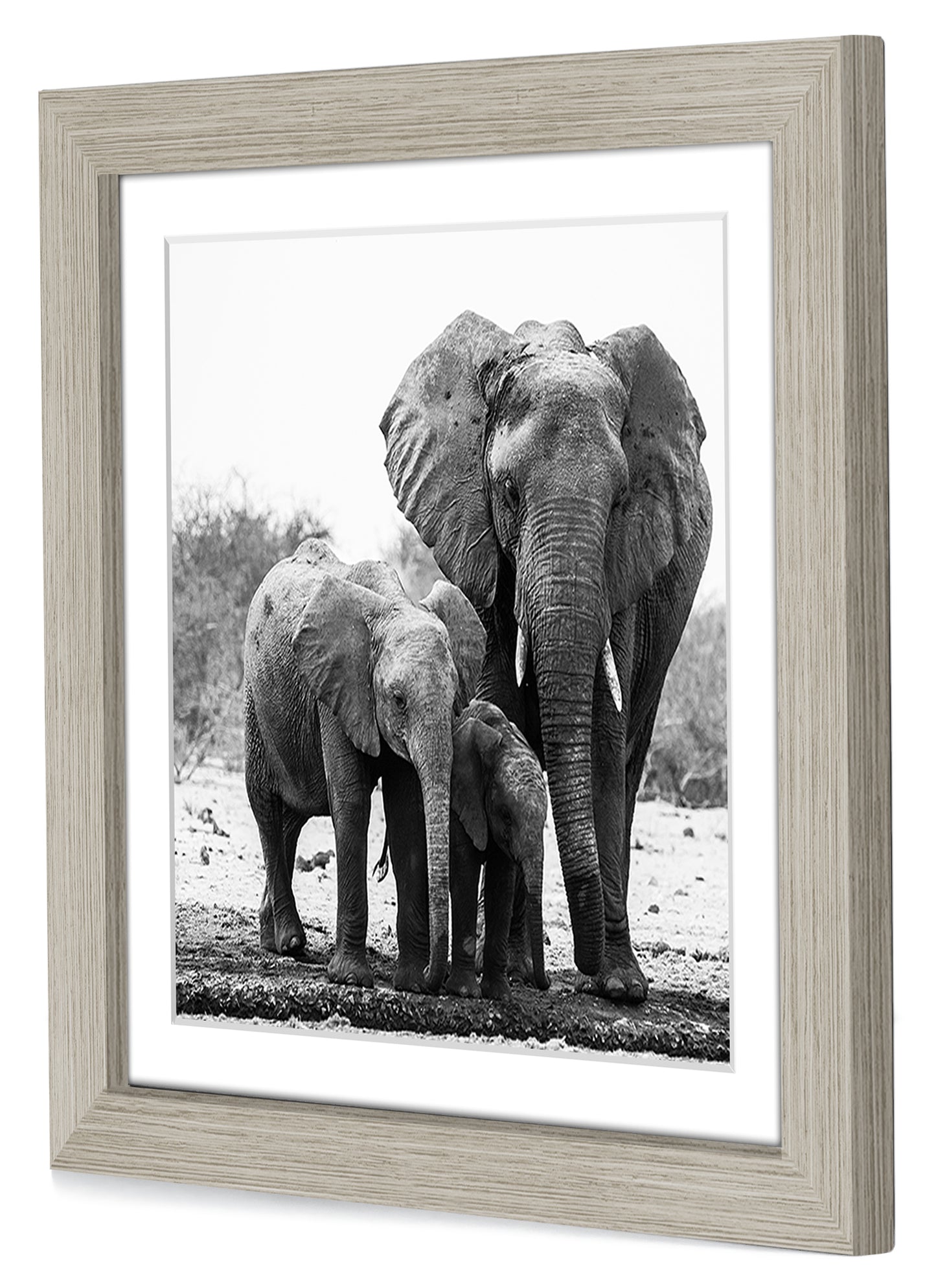 Picture Frame with Mat | Engineered Wood Photo Frame