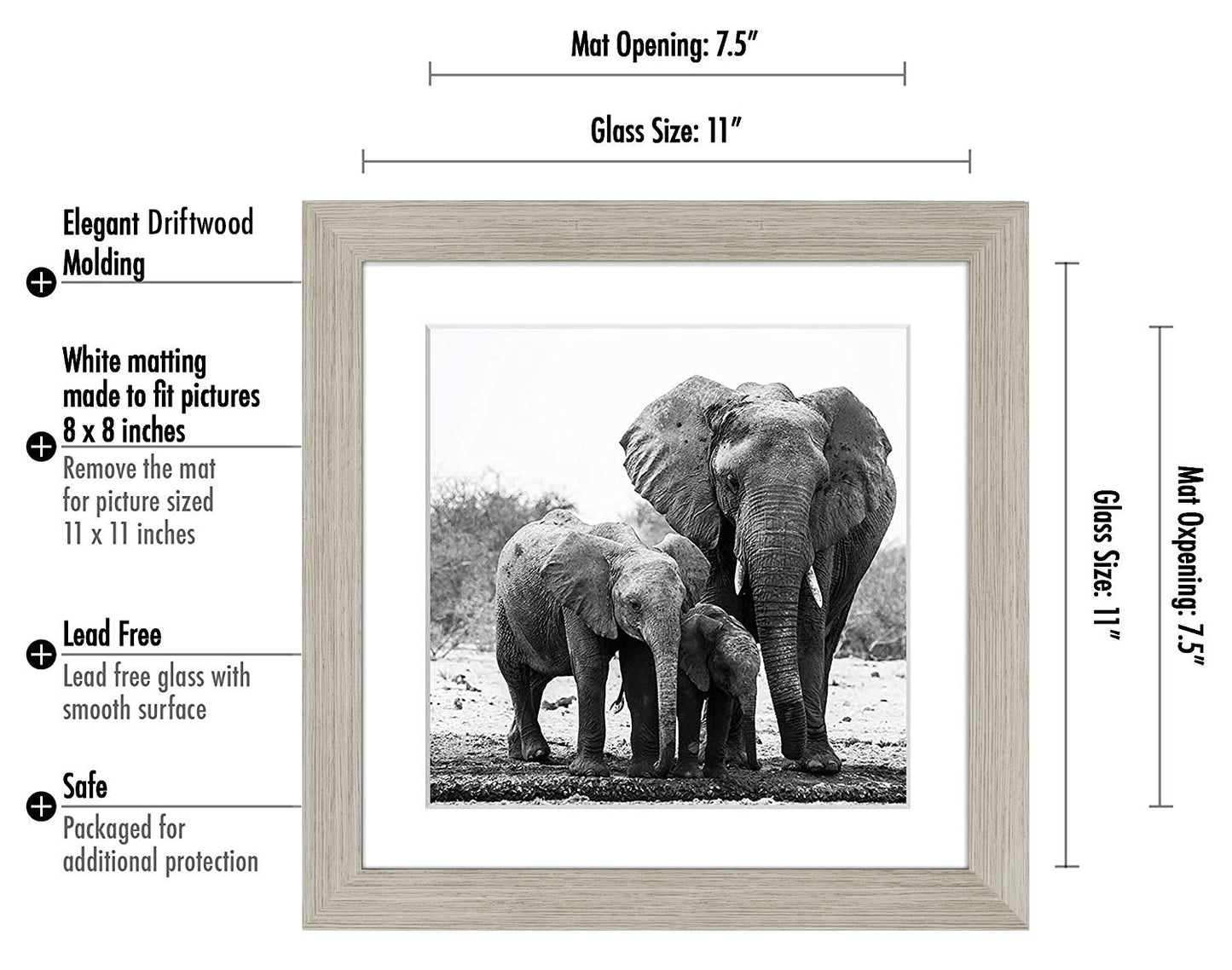 Gallery Picture Frame with Mat | Signature Collection