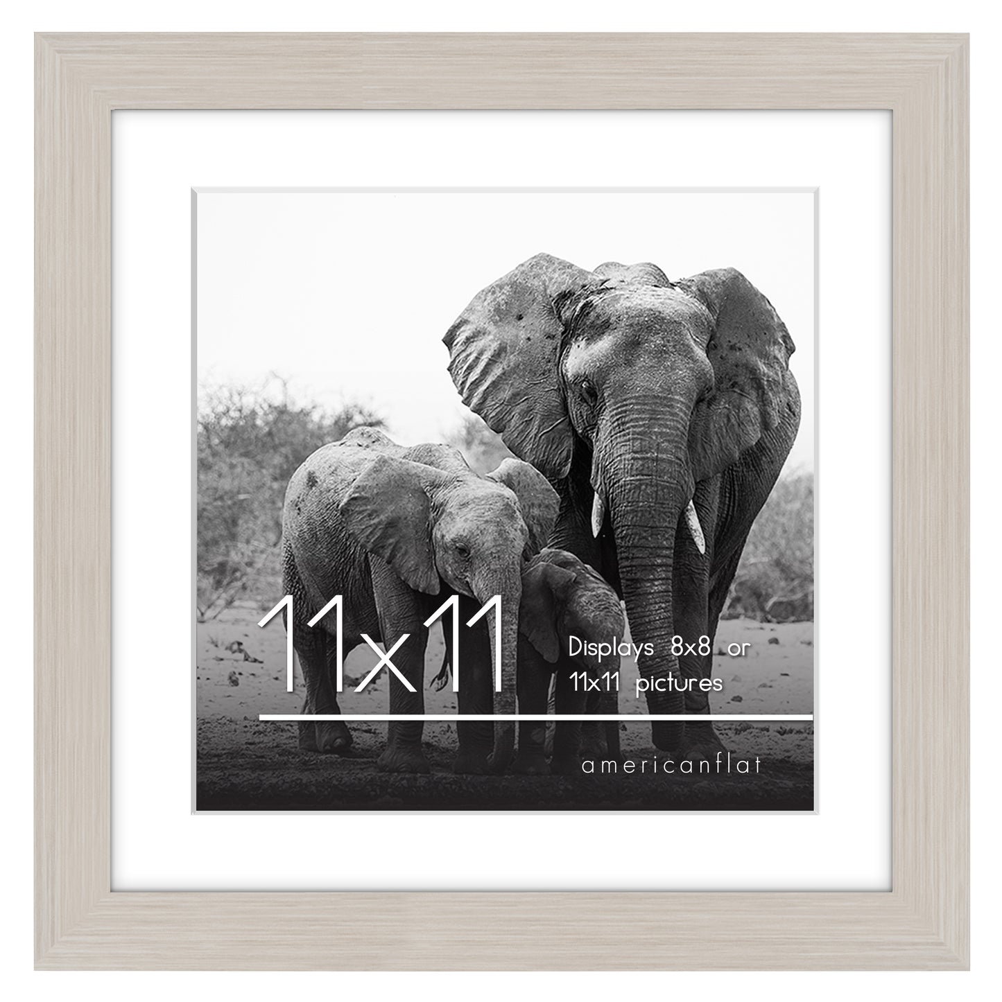 Gallery Picture Frame with Mat | Signature Collection