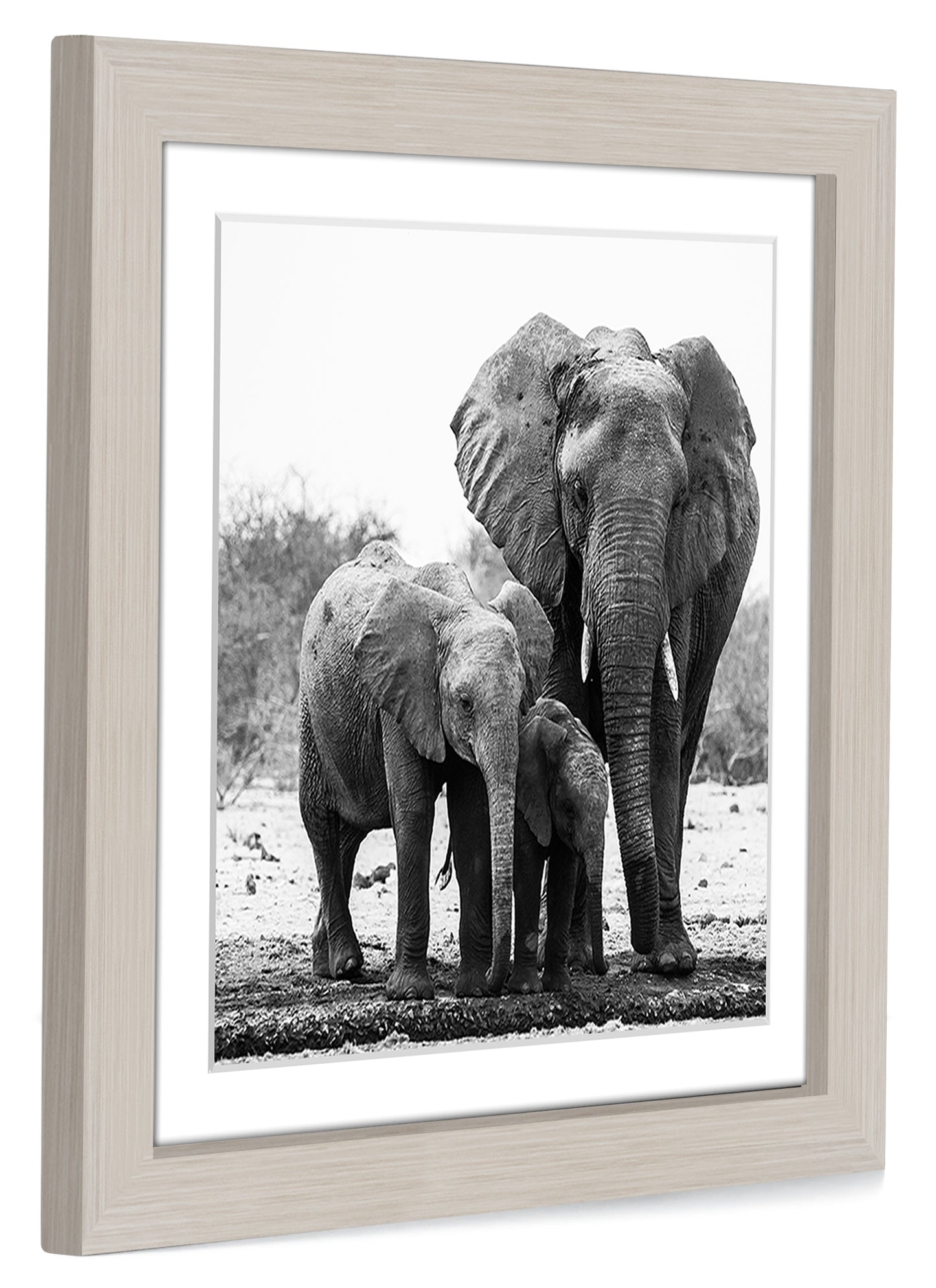 Gallery Picture Frame with Mat | Signature Collection