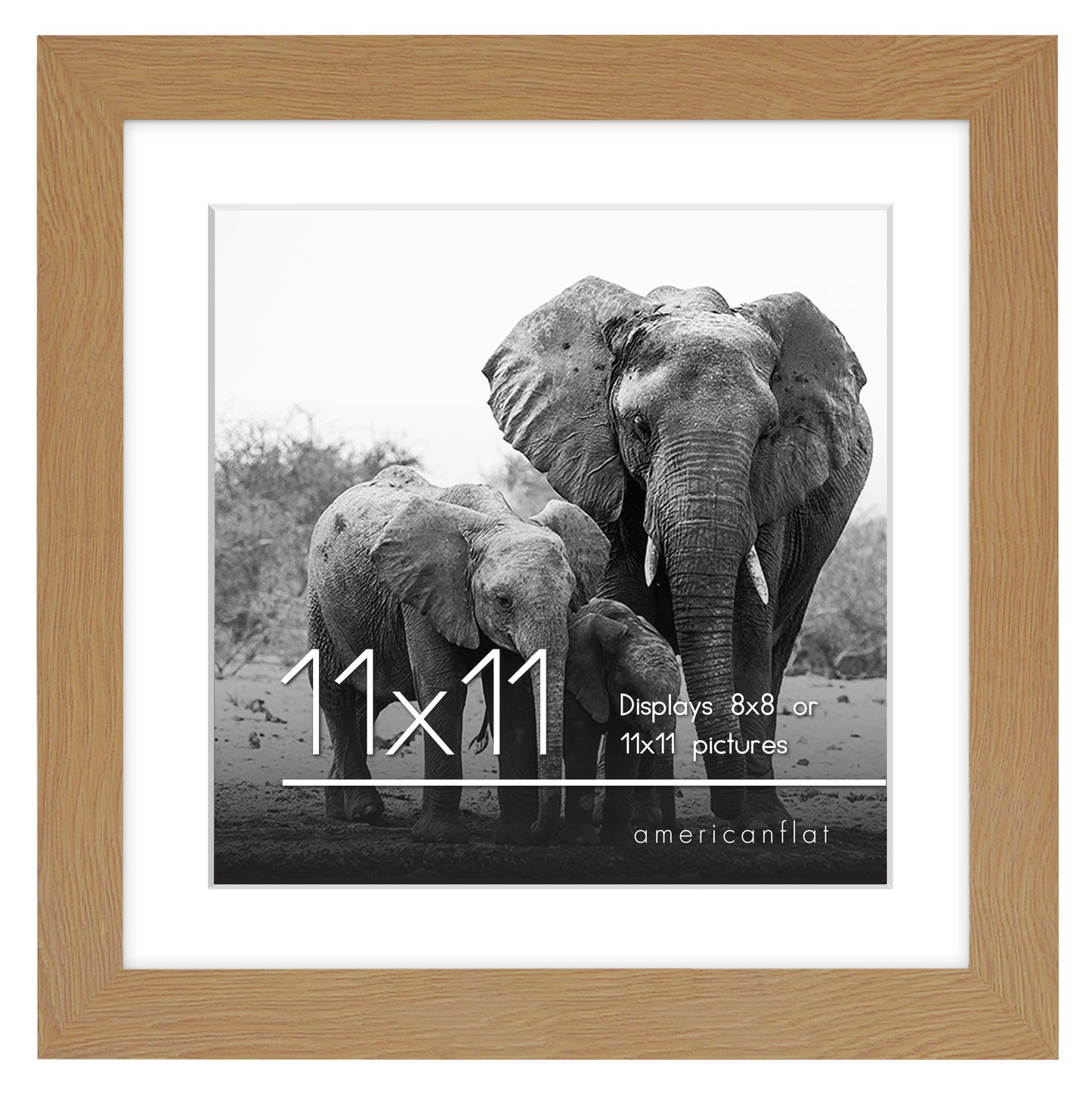 Gallery Picture Frame with Mat | Signature Collection