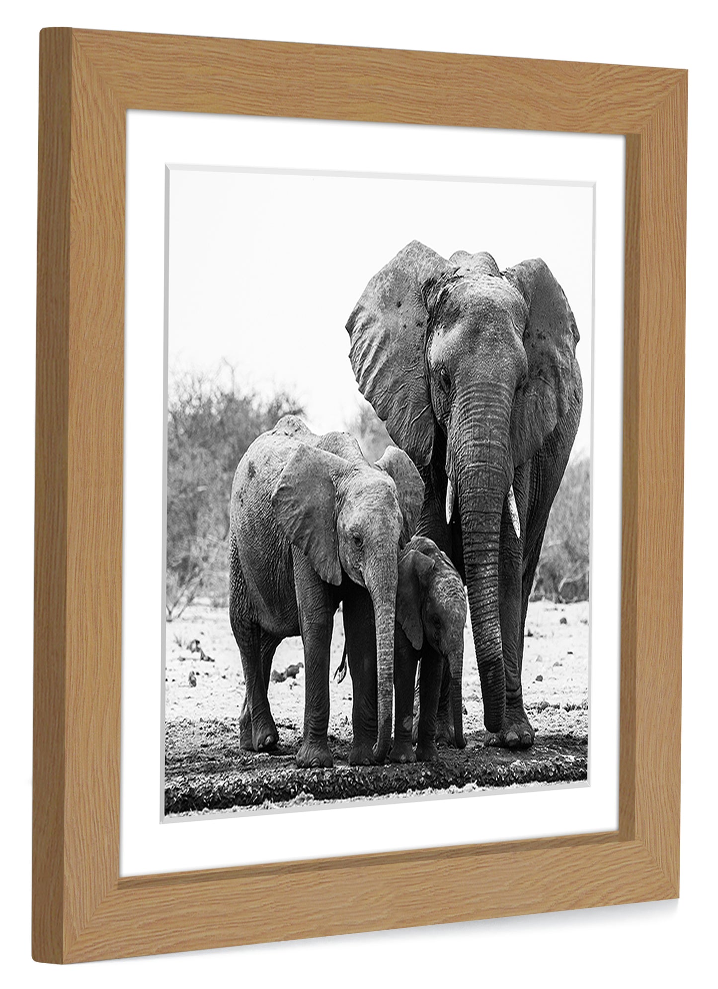 Gallery Picture Frame with Mat | Signature Collection