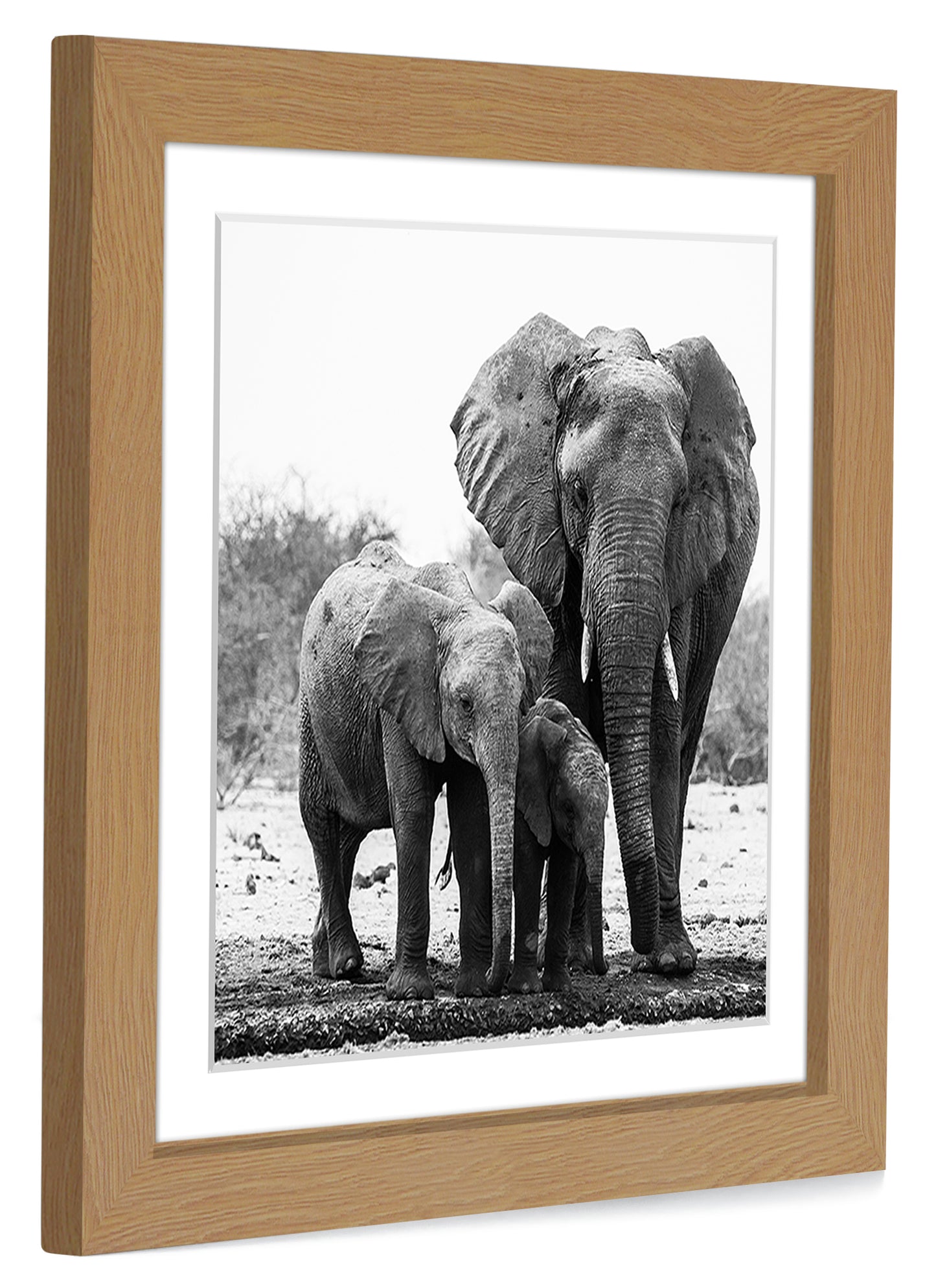 Picture Frame with Mat | Engineered Wood Photo Frame