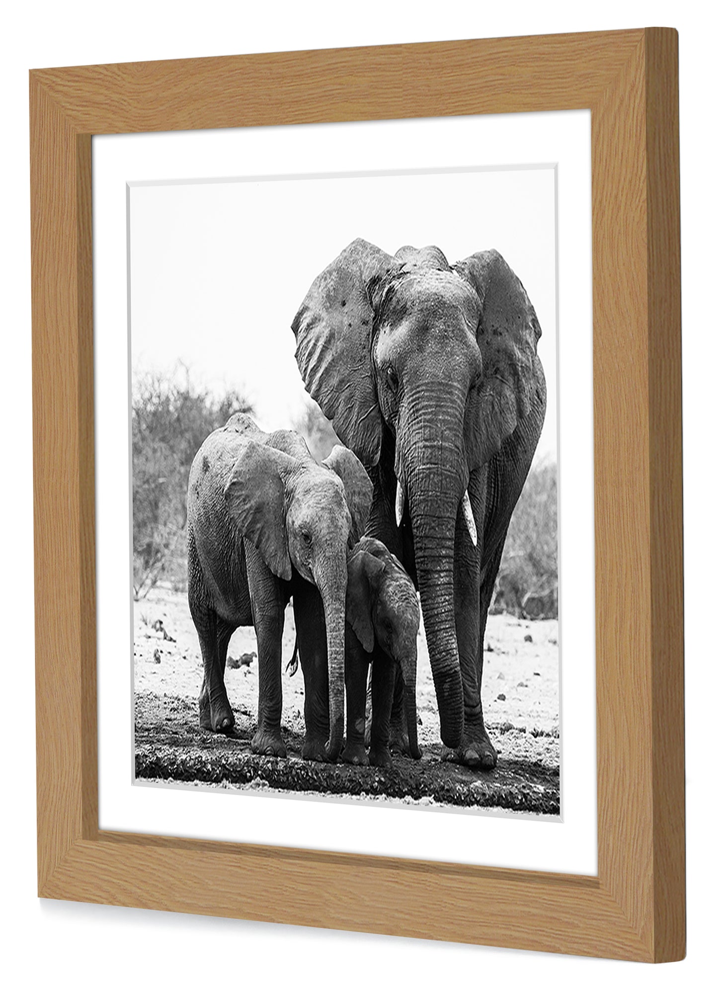 Picture Frame with Mat | Engineered Wood Photo Frame