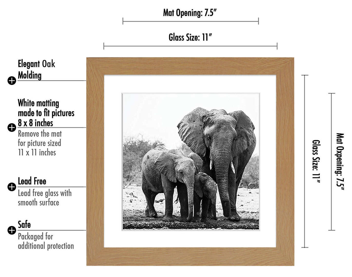 Gallery Picture Frame with Mat | Signature Collection