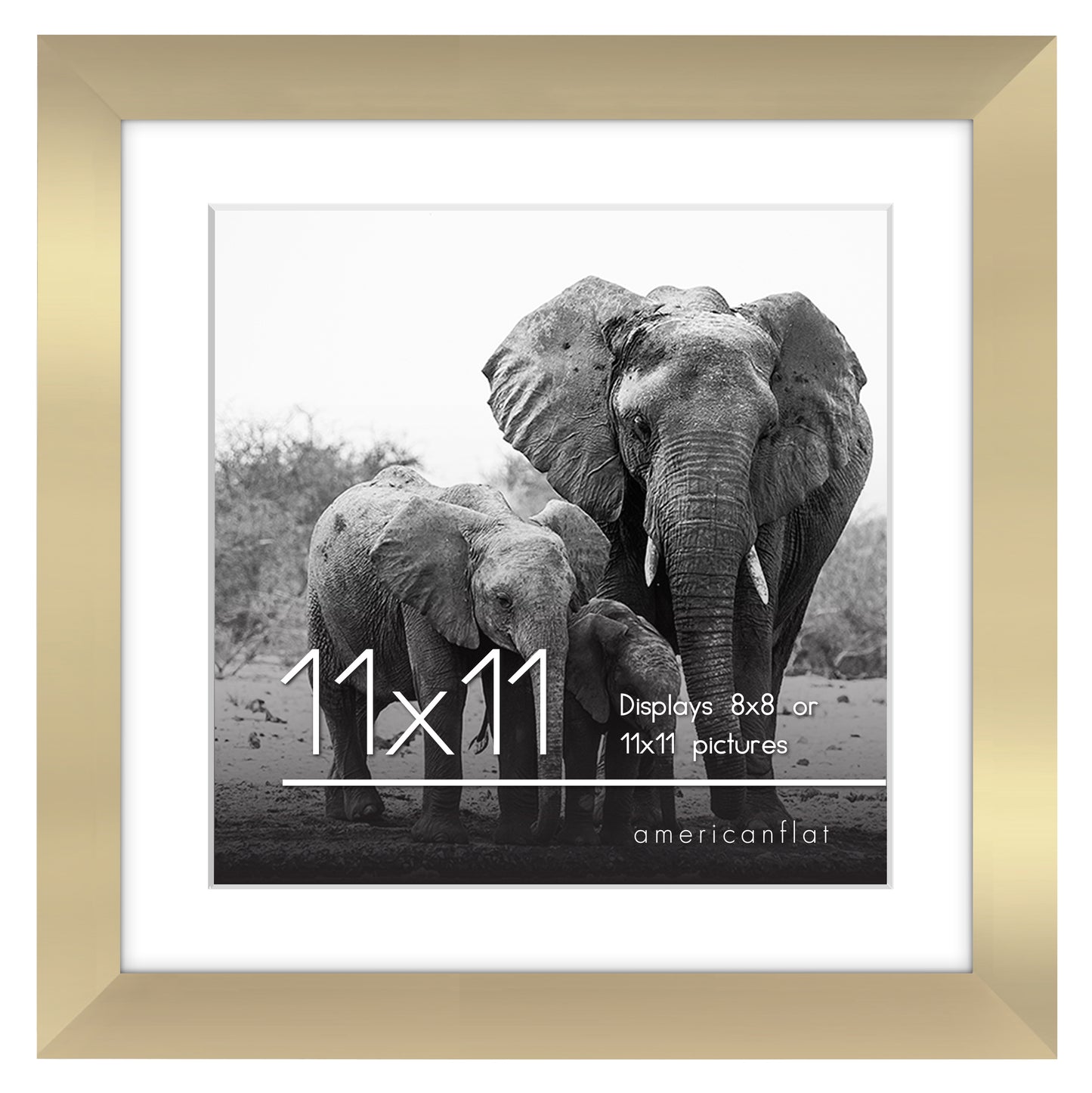 Gallery Picture Frame with Mat | Signature Collection