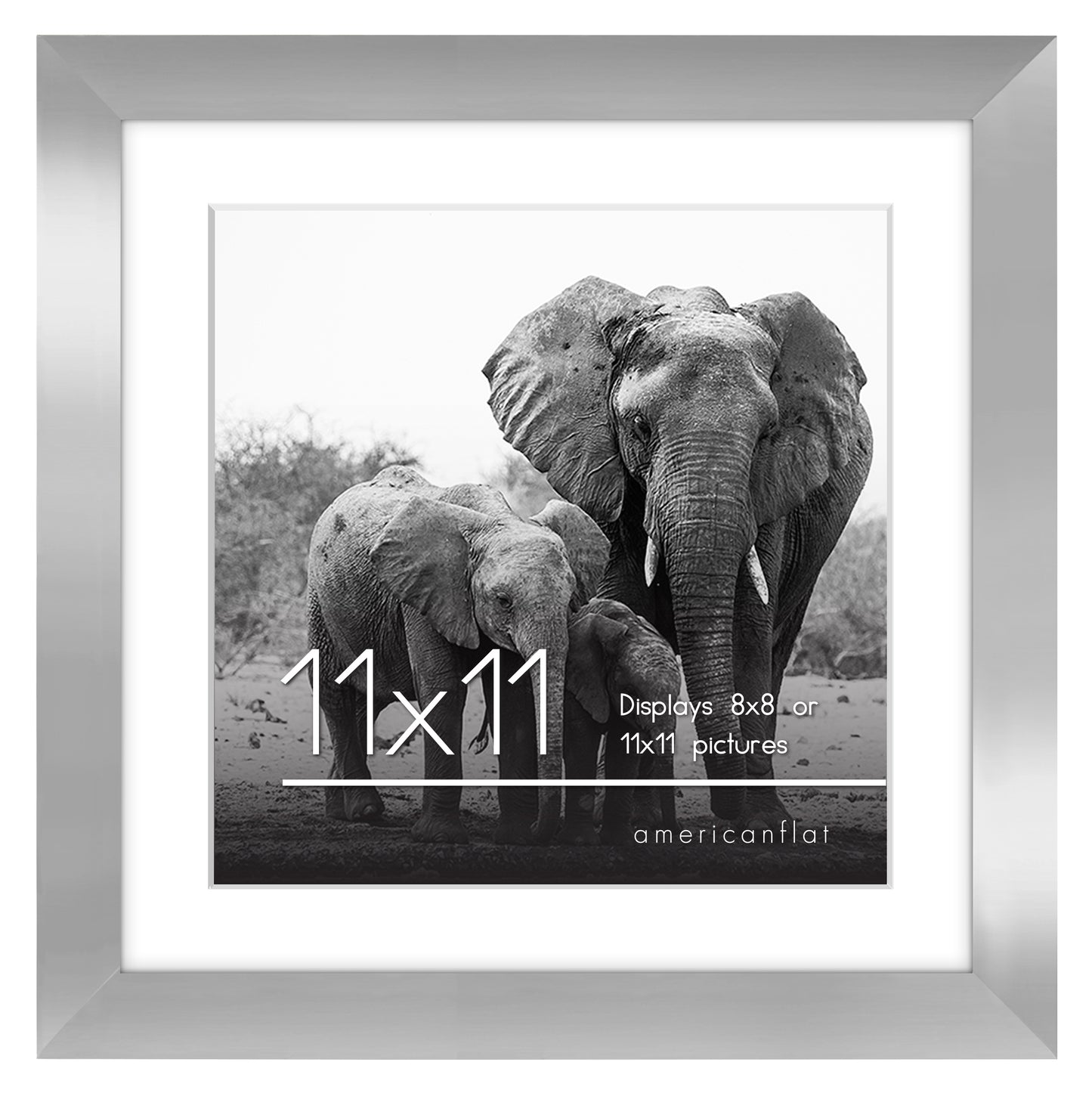 Gallery Picture Frame with Mat | Signature Collection