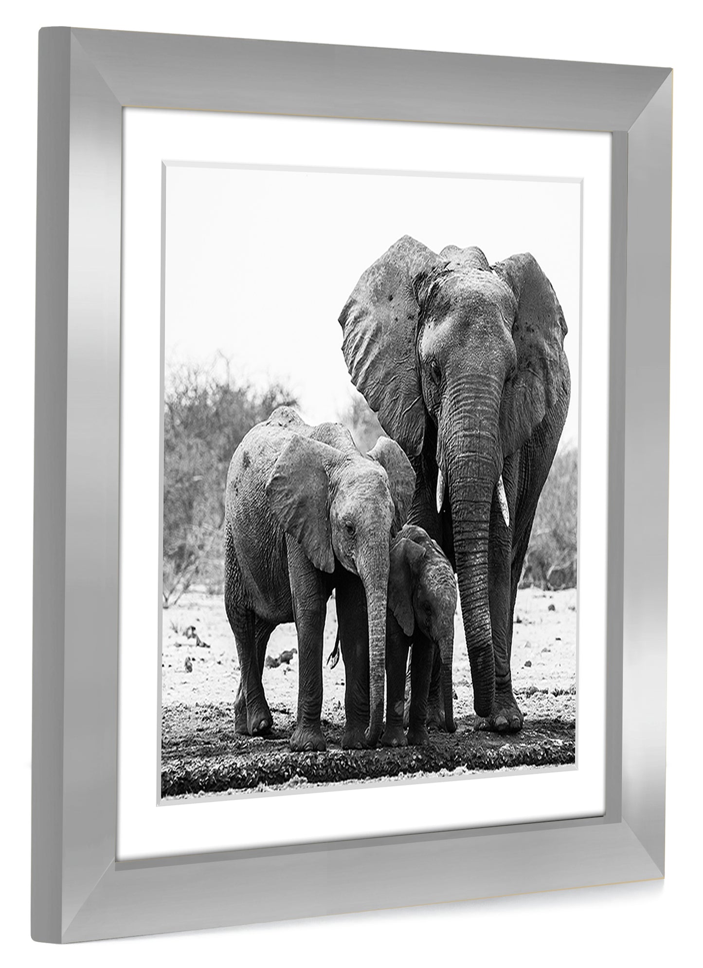 Gallery Picture Frame with Mat | Signature Collection
