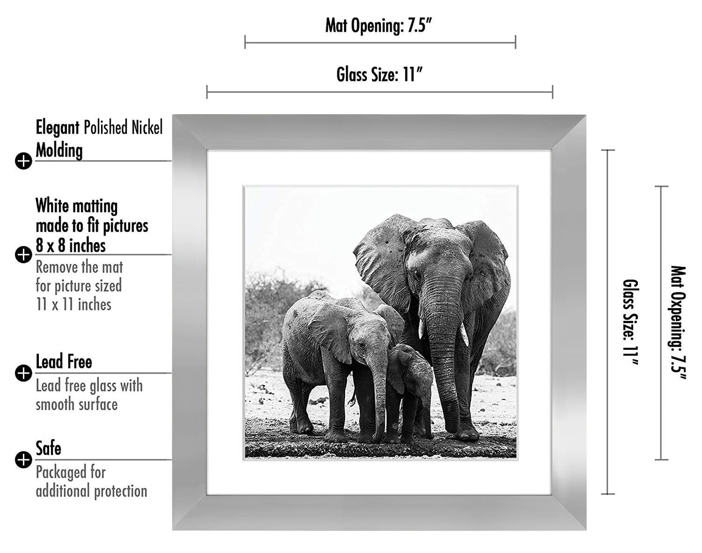 Gallery Picture Frame with Mat | Signature Collection