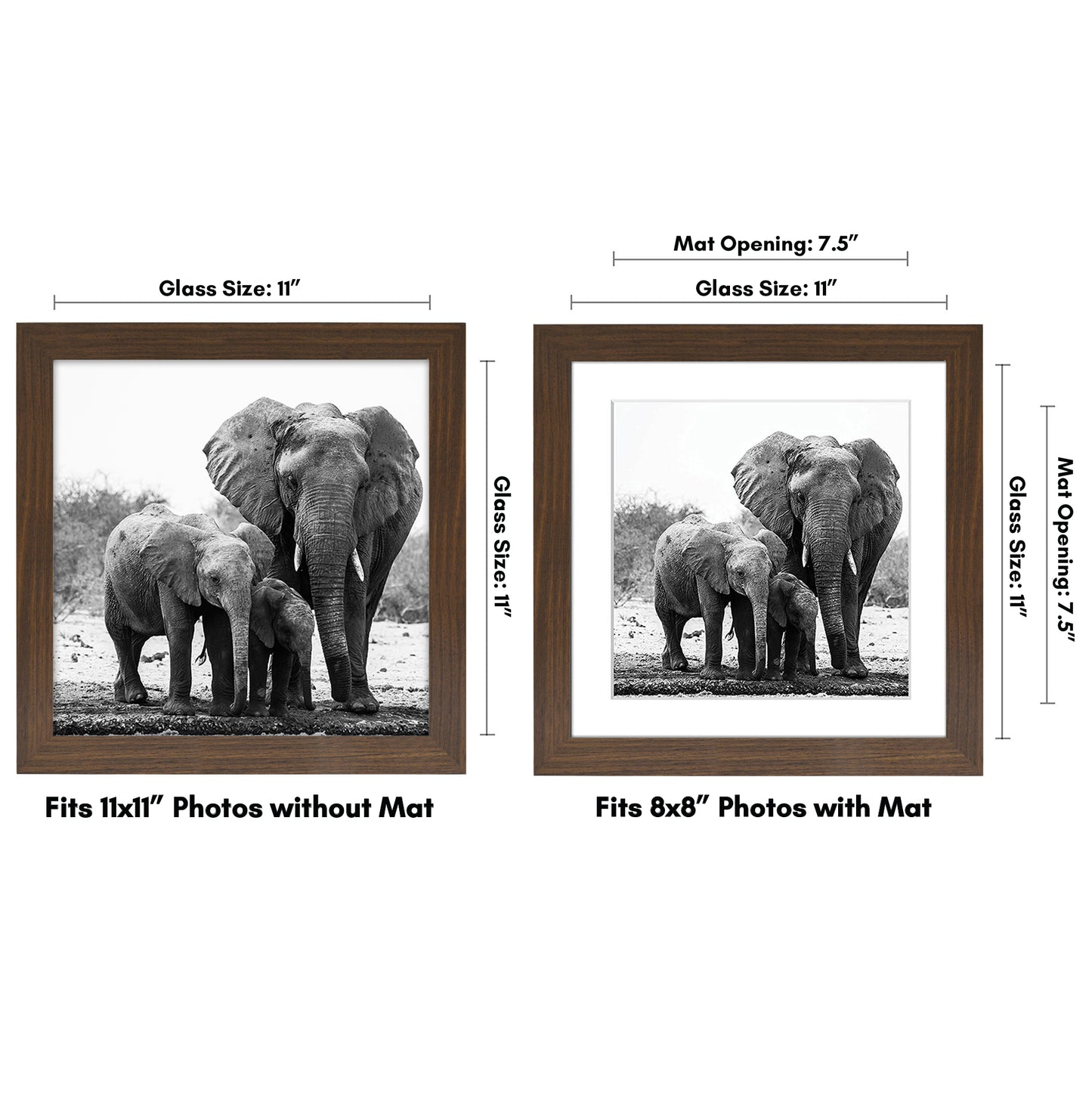 Gallery Picture Frame with Mat | Signature Collection