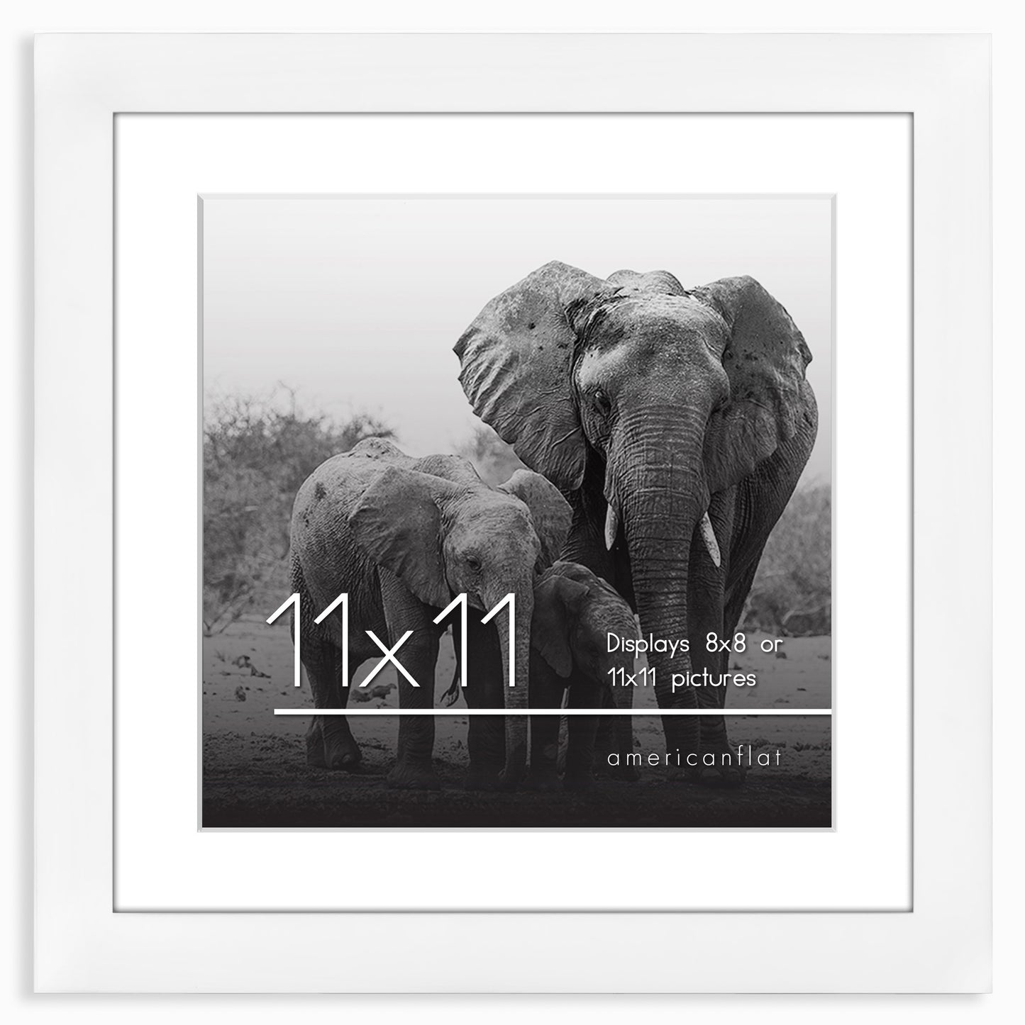 Gallery Picture Frame with Mat | Signature Collection